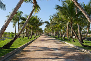 LAS PALMAS RANCH - Residential