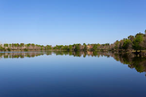 LAS PALMAS RANCH - Residential
