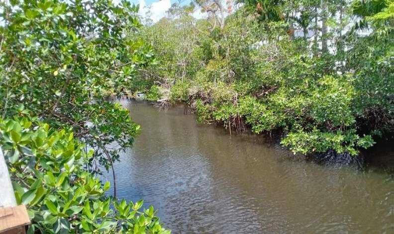 GREENWOOD COVE - Residential