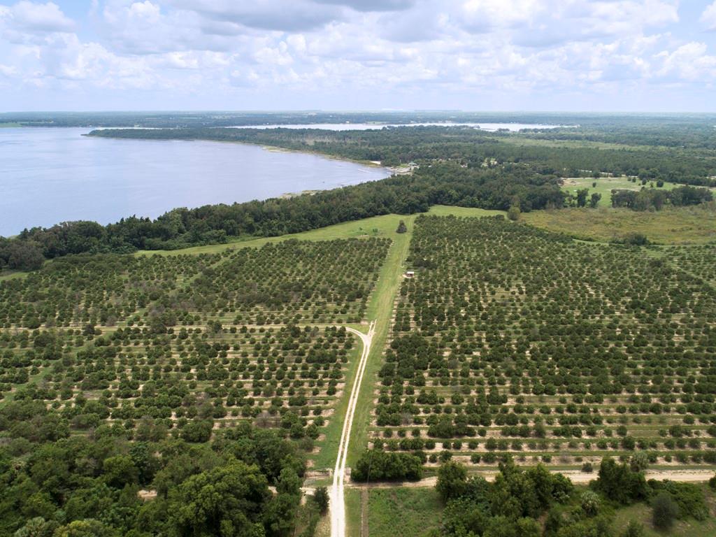 ACGR NONSUB - Land