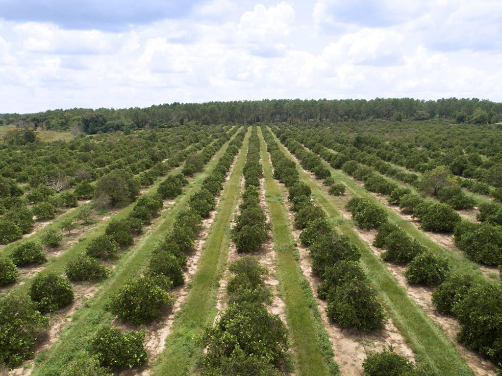 ACGR NONSUB - Land