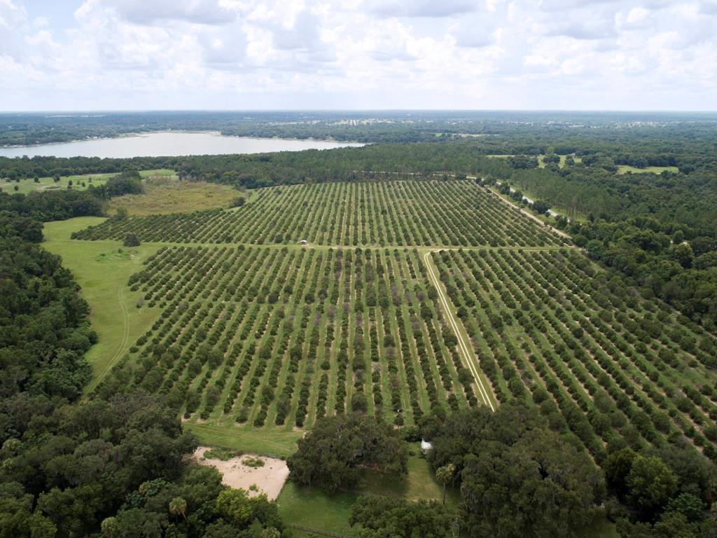 ACGR NONSUB - Land