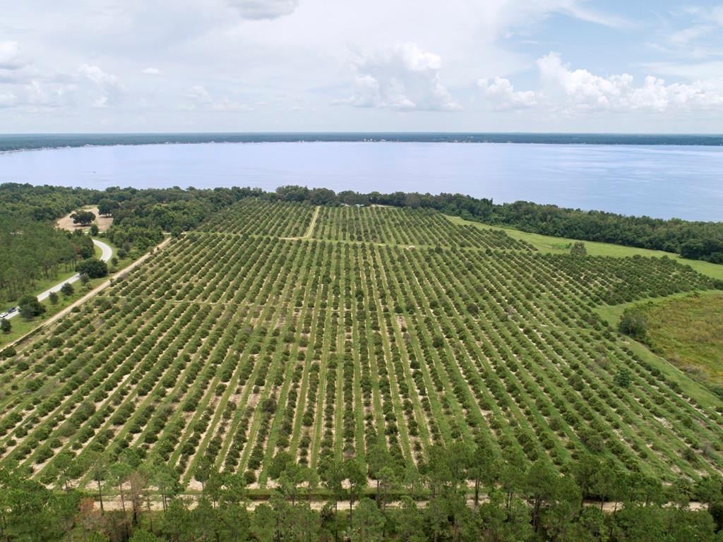 ACGR NONSUB - Land