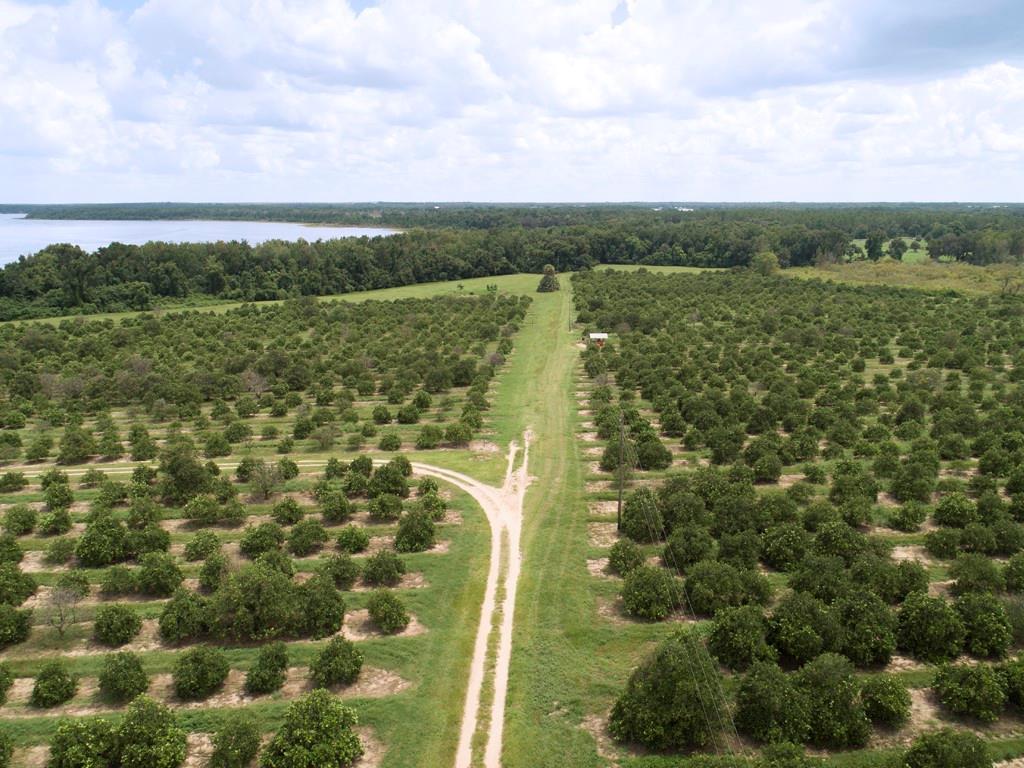 ACGR NONSUB - Land