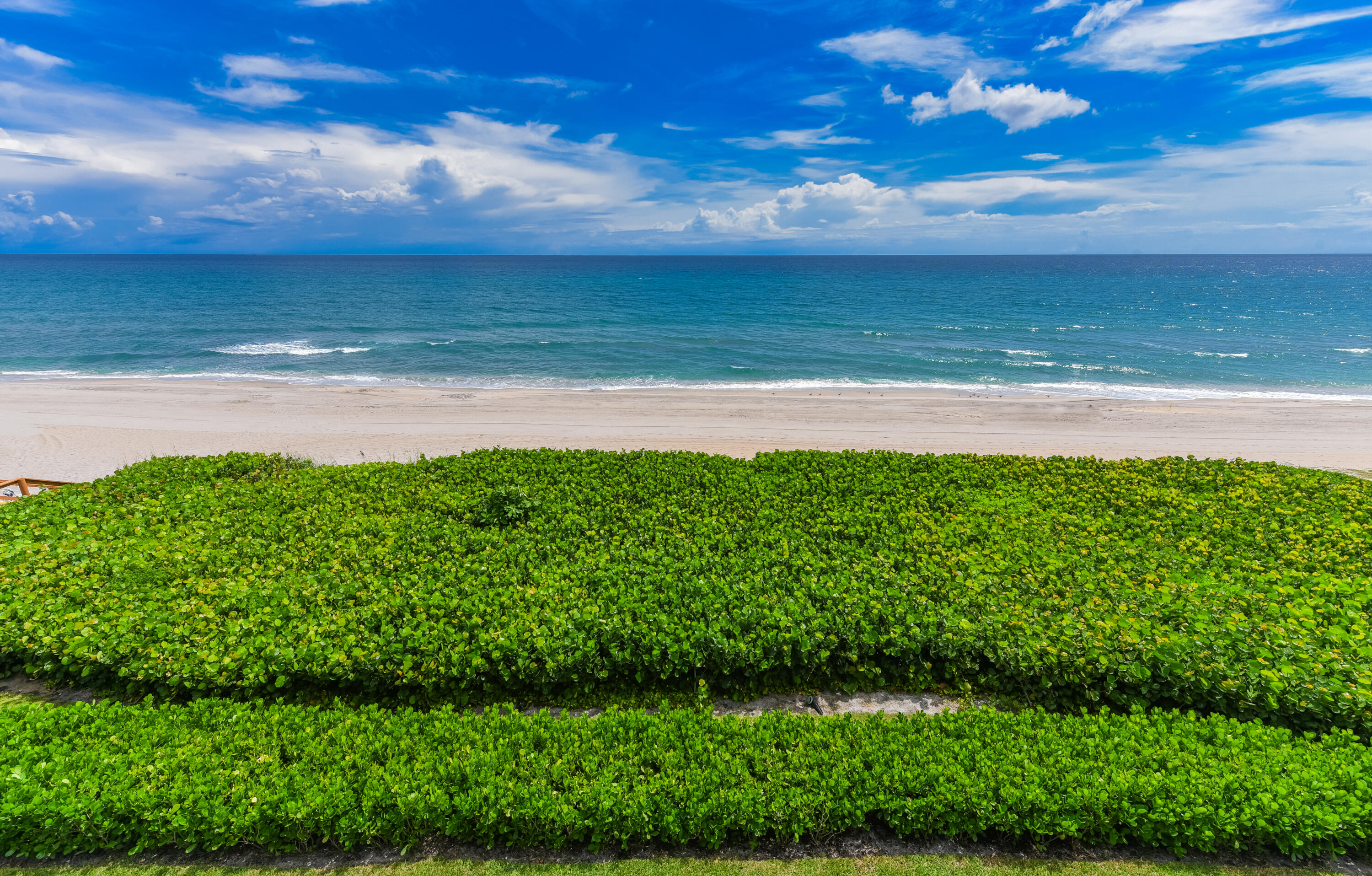 OCEAN TERRACE NORTH - Residential