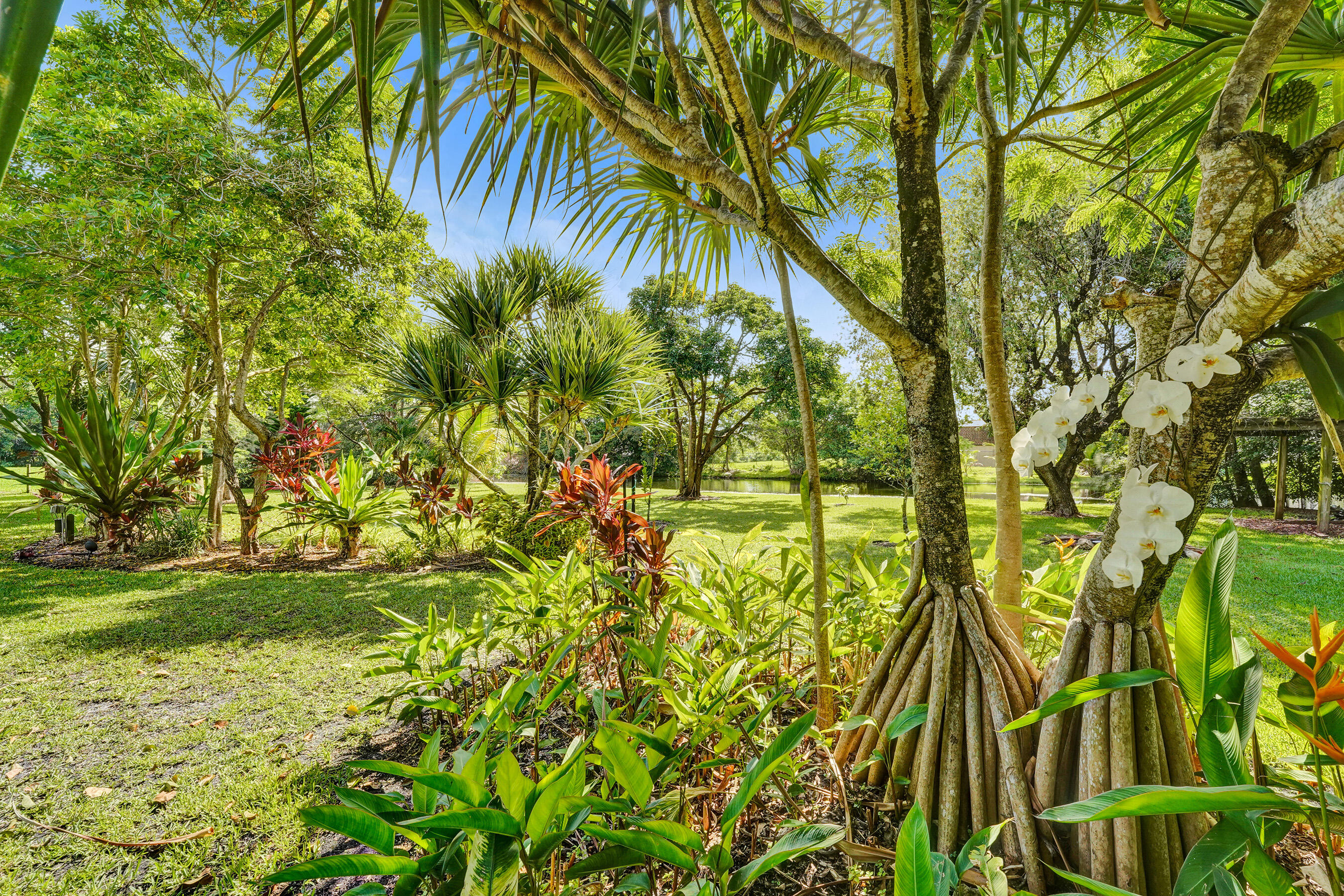 Country Club Ranch Estates - Residential