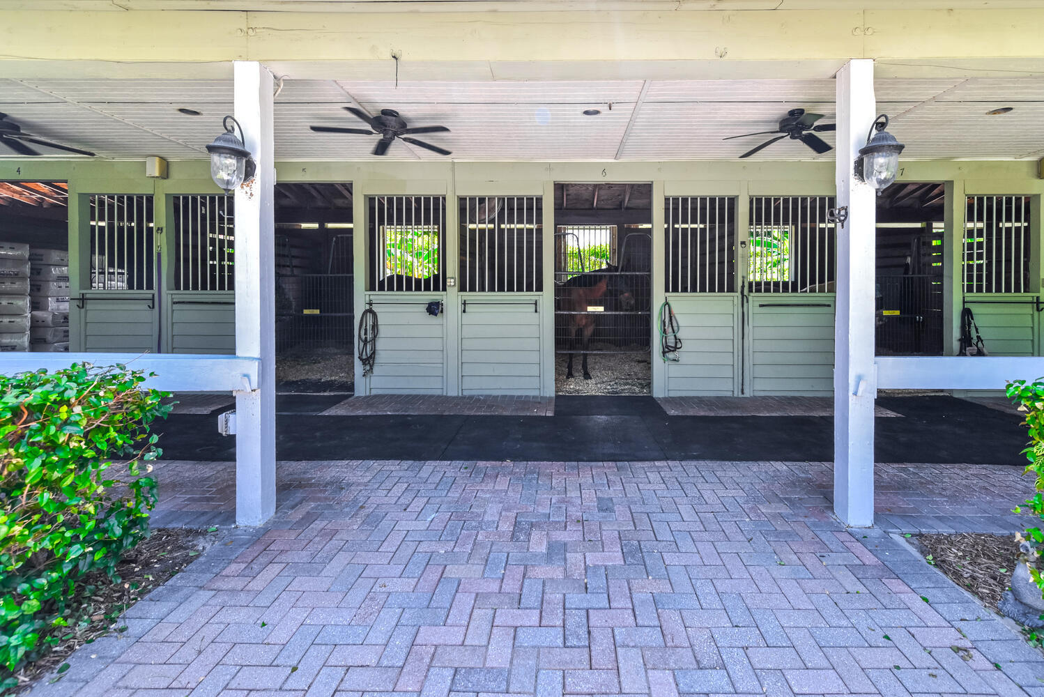 Saddle Trail Park of Wellington - Residential Lease