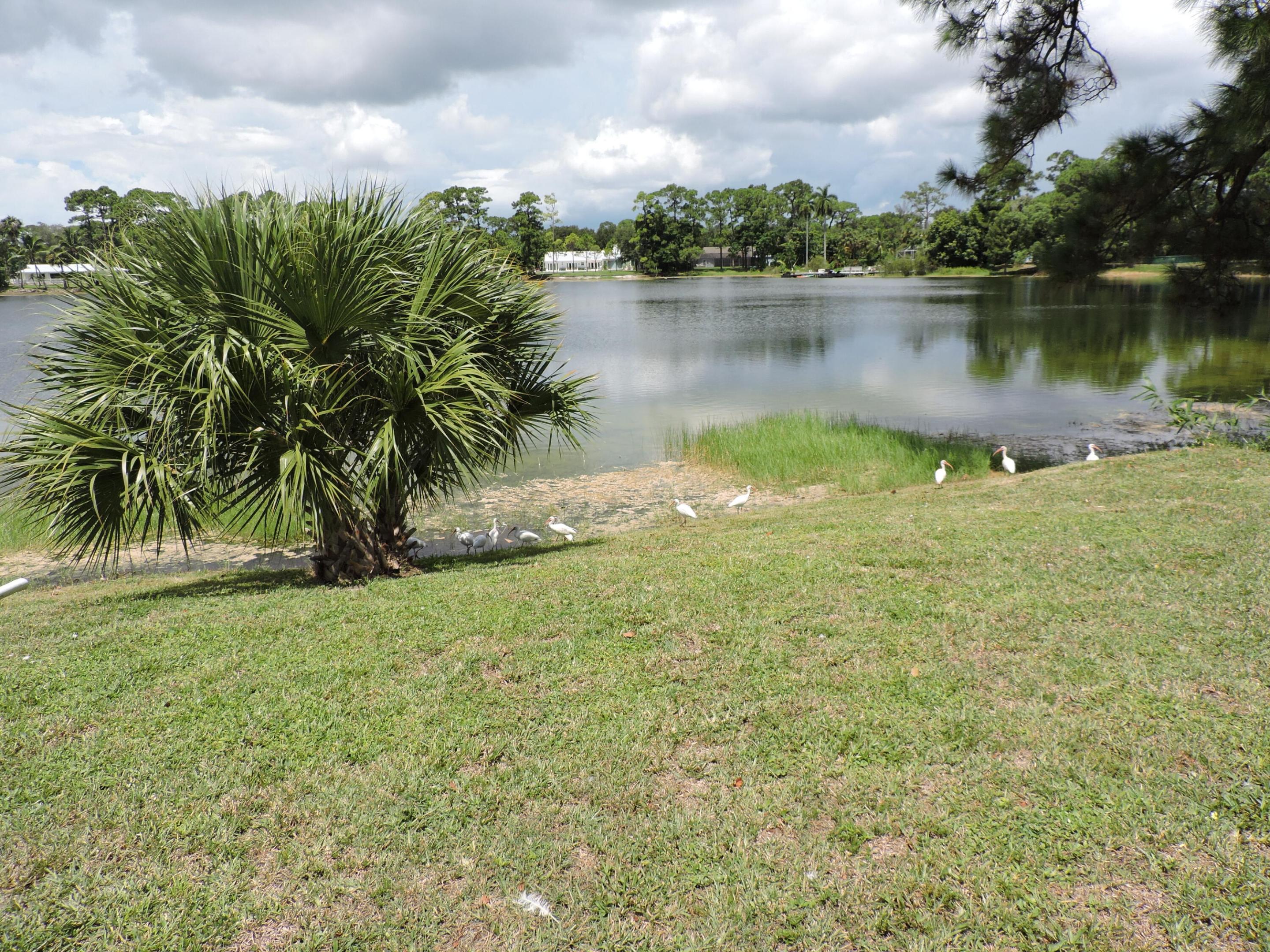 SQUARE LAKE - Residential