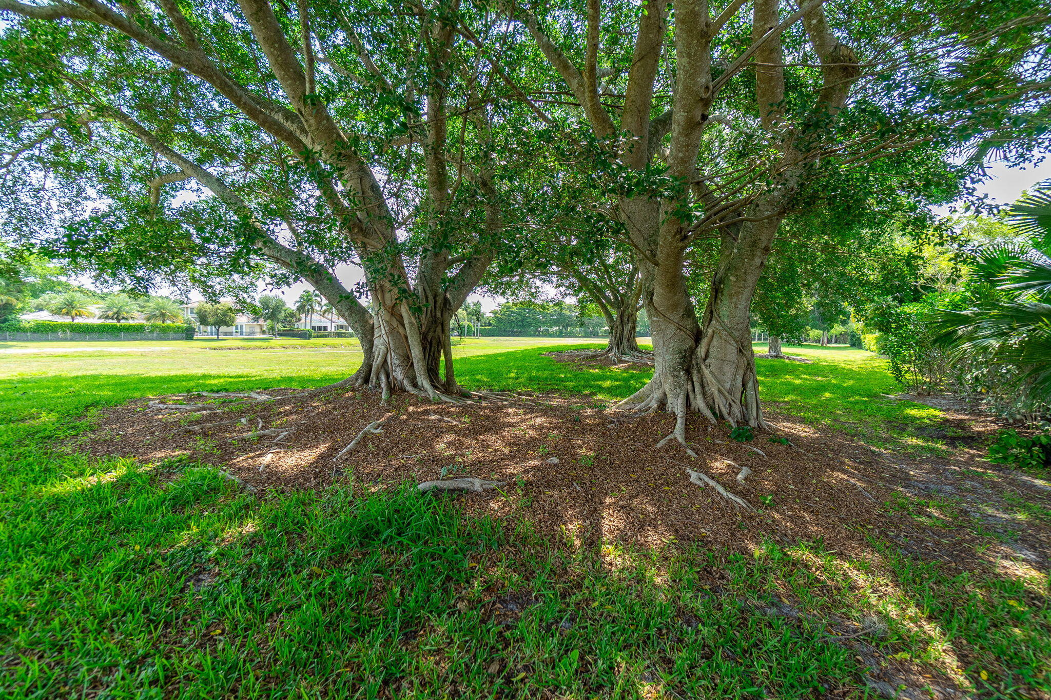 EAGLES LANDING OF P B POLO AND COUNTRY CLUB - Residential Lease