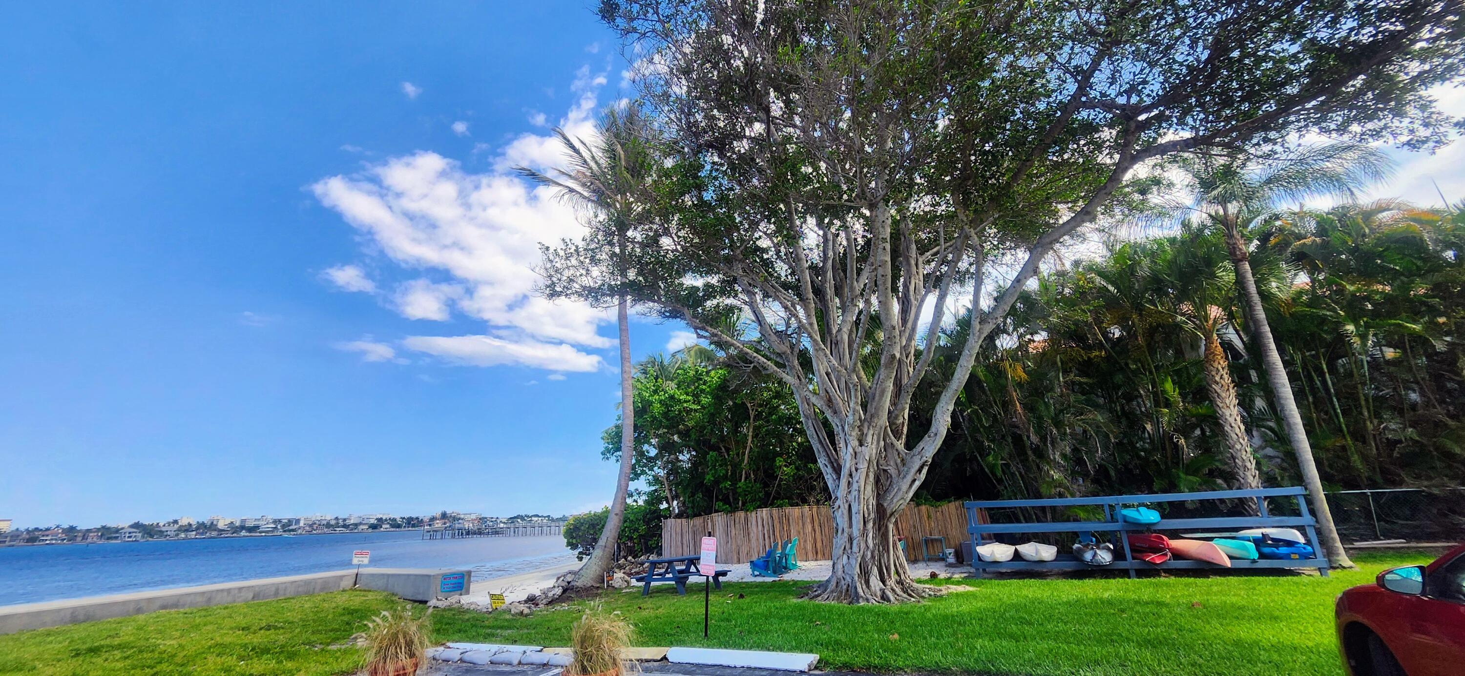 PALM LAKE 1 CONDO - Residential Lease