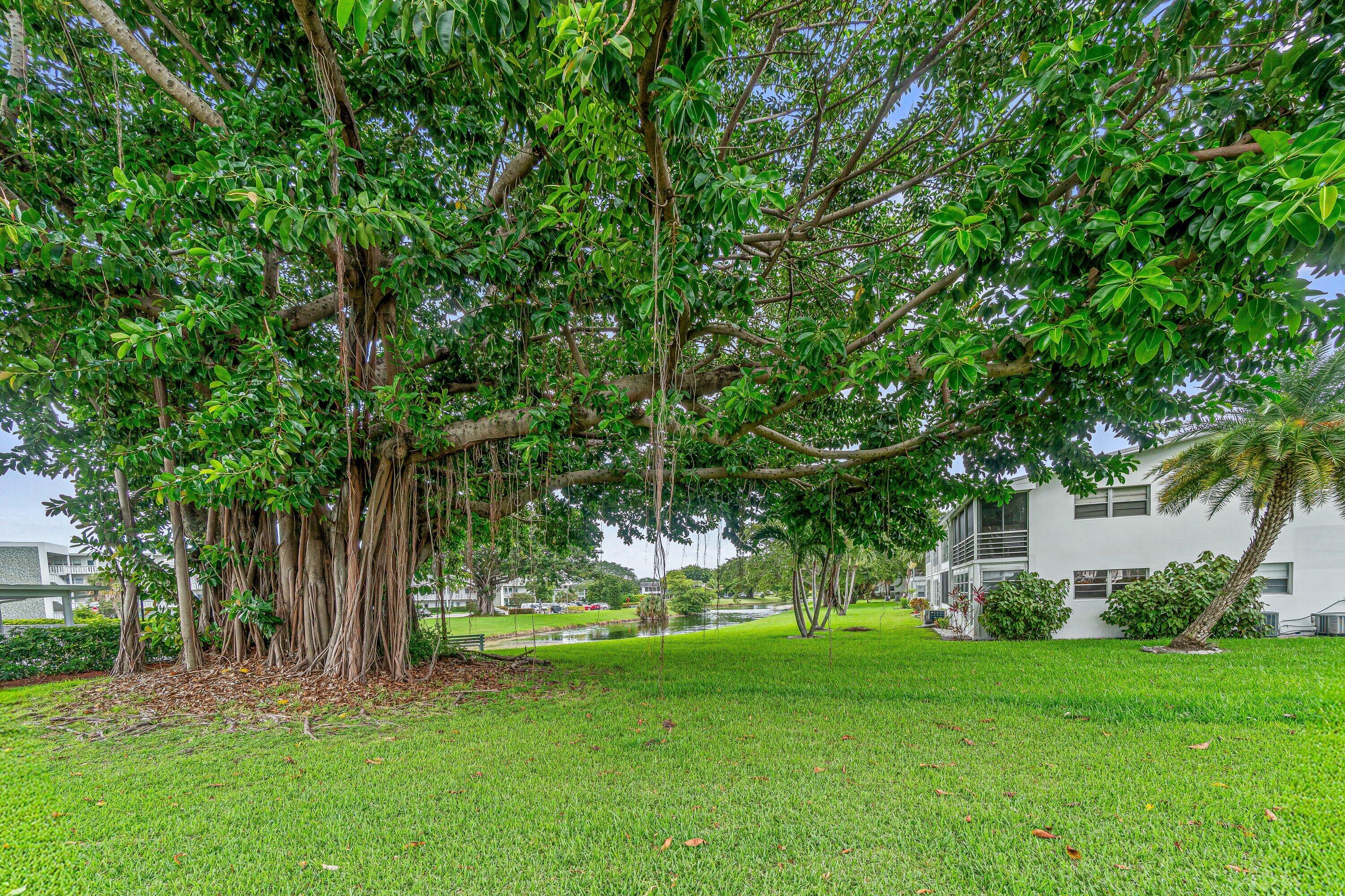 Century Village - Residential