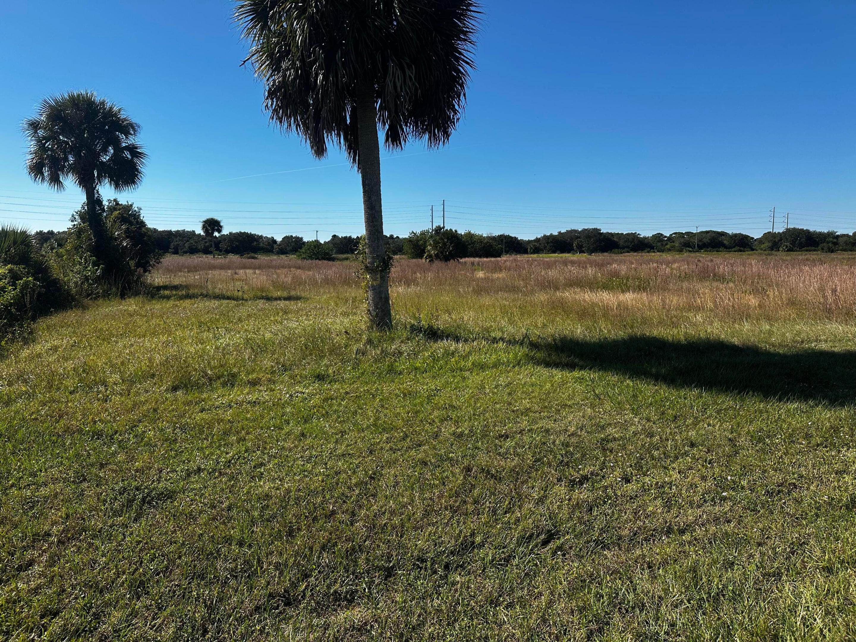 SHERMAN WOOD RANCHES - Land