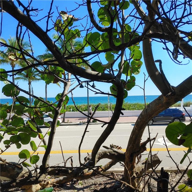 Two beautiful lots directly across AIA from world famous Fort Lauderdale Beach.  Southeast exposure. Nice elevation.  Be front and center for the air show, July 4th, New Years, etc., while sitting in your living room.  Lots possibly can be divided and two home built.