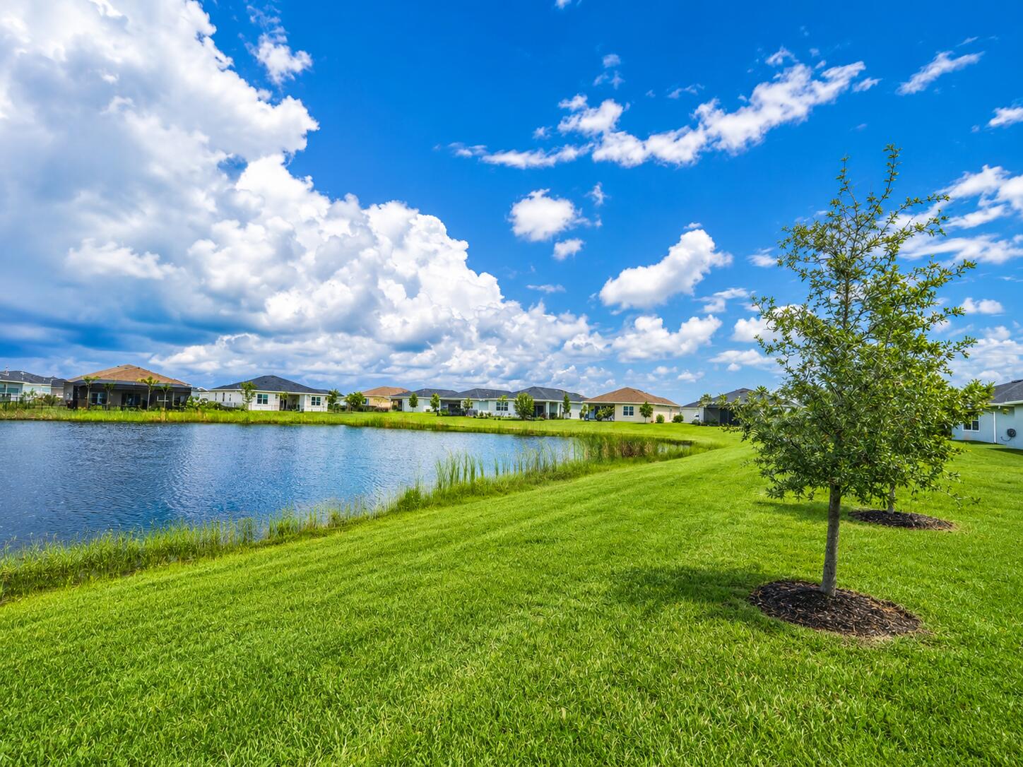 REPLAT OF VERANDA PRESERVE EAST - Residential