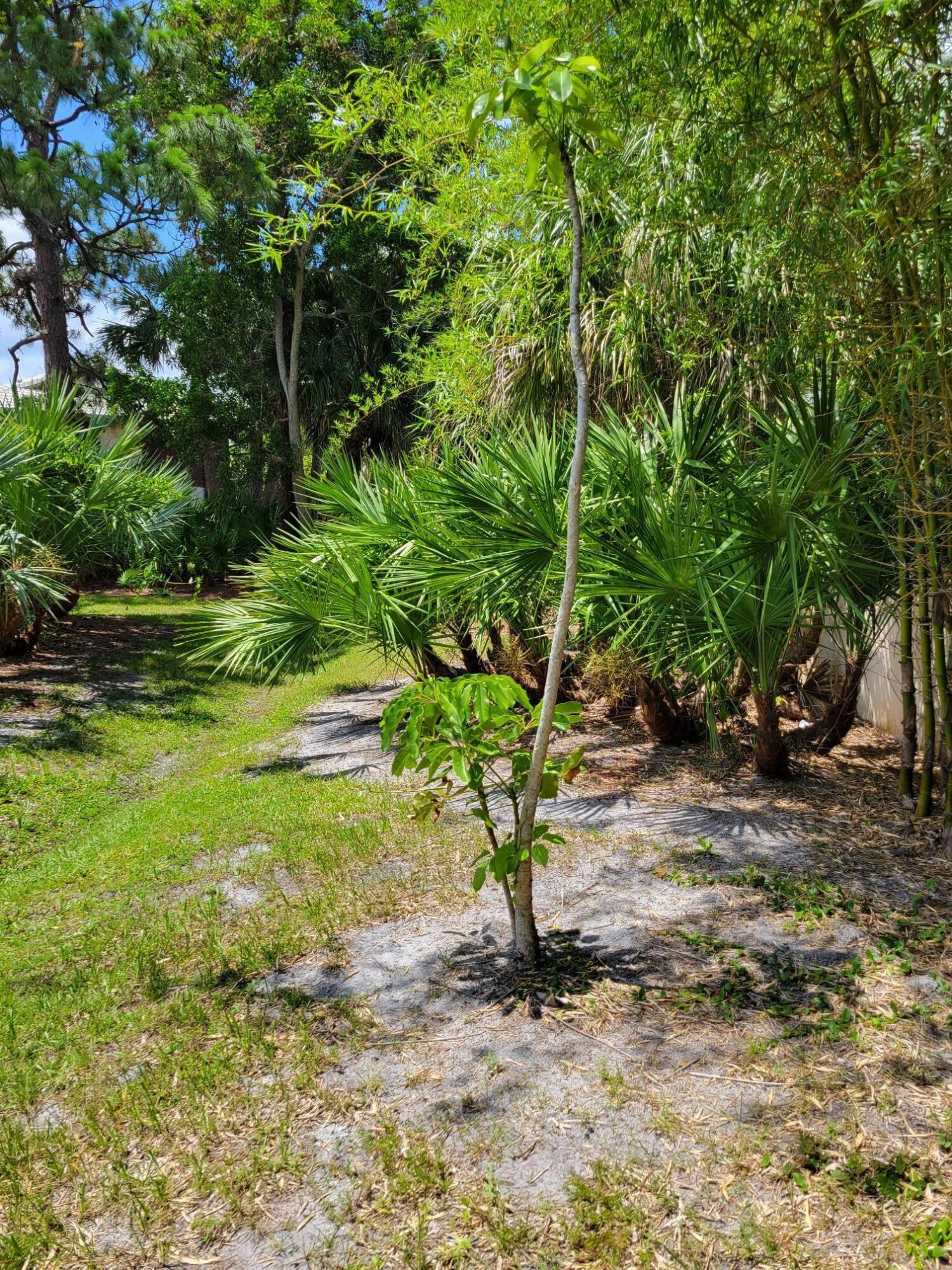 CAMELOT GARDENS PHASES 1 THRU 11 - Residential