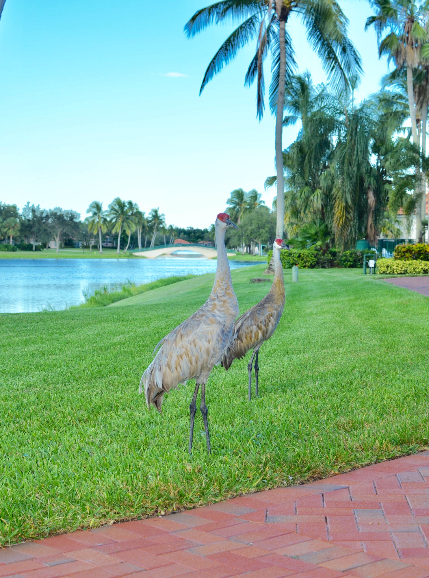 RIVERWALK - Residential