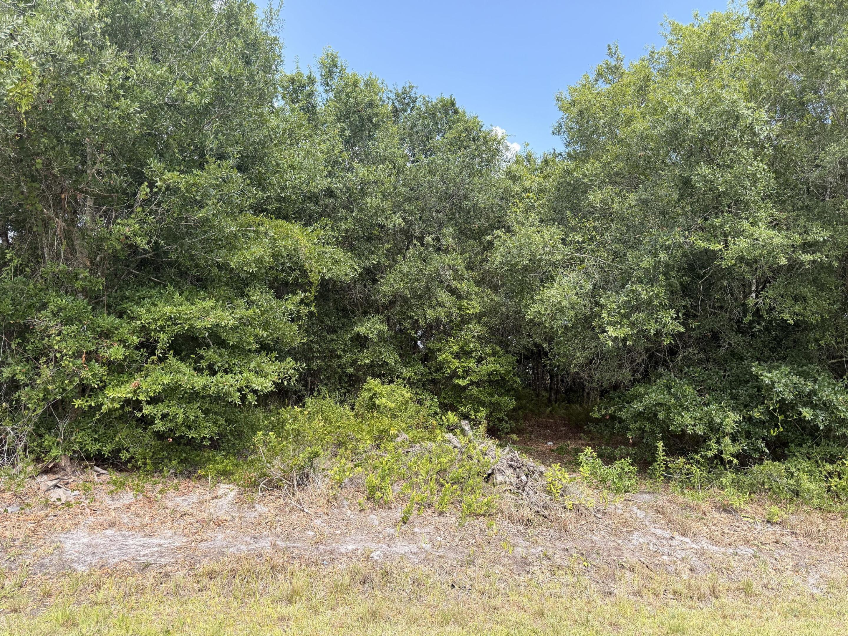 BUFFINGTON PARK~ HALF ACRE LOT! Build your home or manufactured home on a dead end street and minutes to town. Some lovely Oak trees! Just south of NW 30th St/ Hwy 98. One sold already, so this will go fast. HURRY!  Dimensions are approximate, must measure for exact