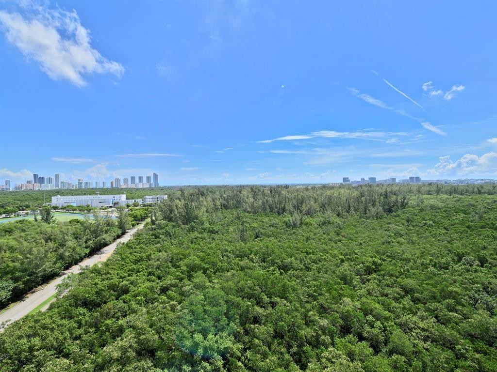 151 at Biscayne - Residential