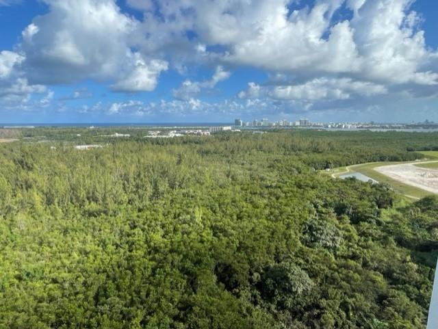 151 at Biscayne - Residential