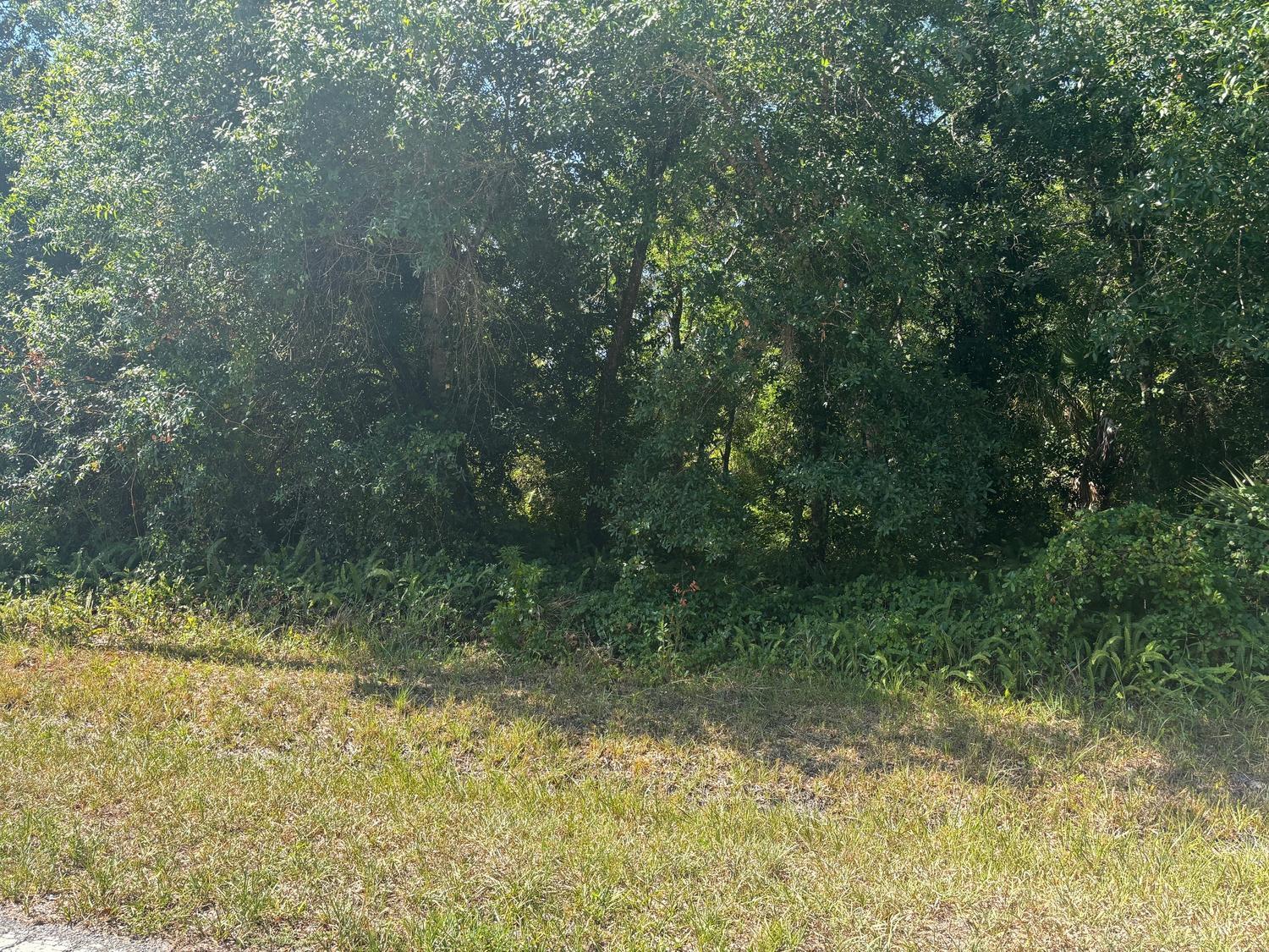 Dixie Ranch Estates - Land