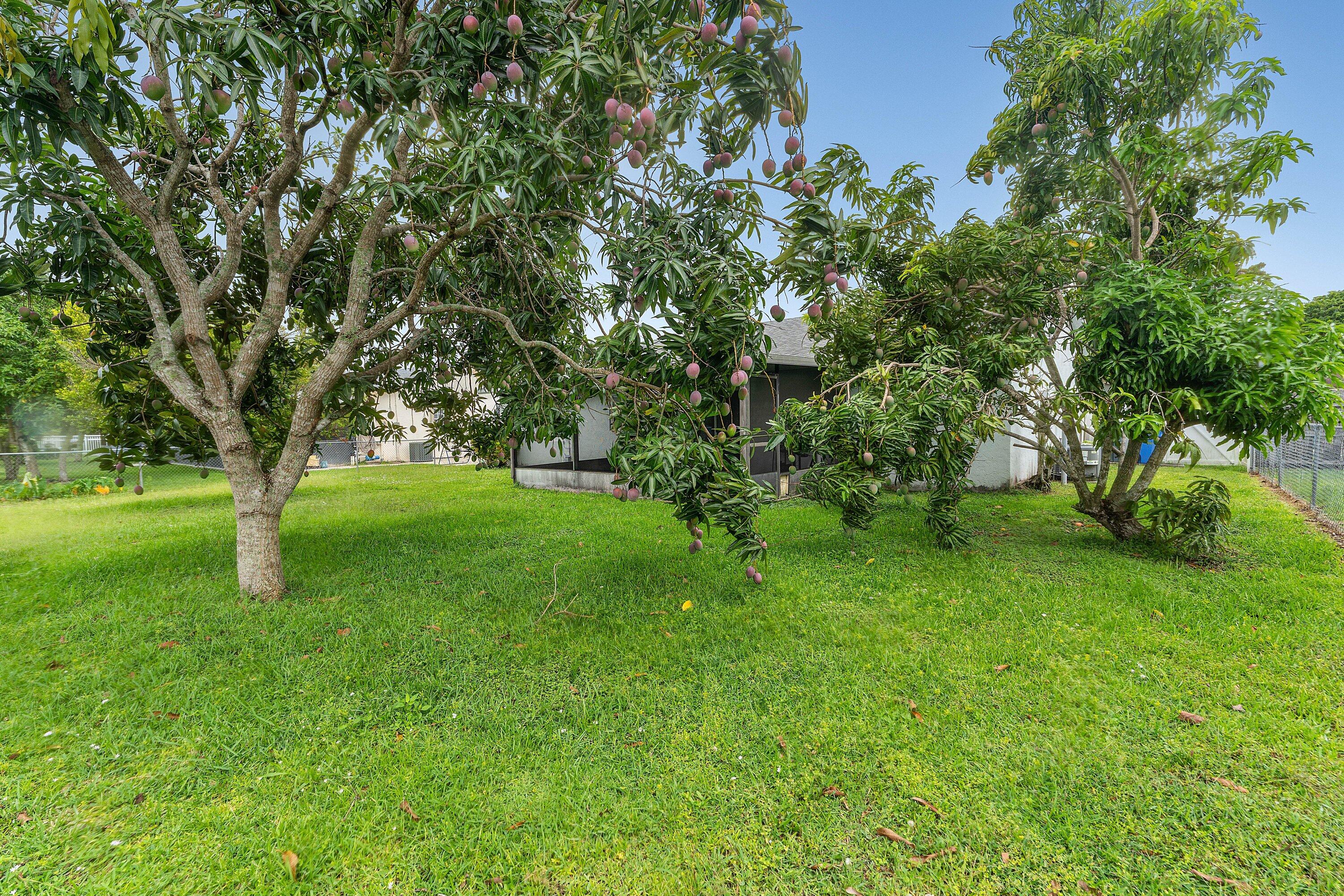 COUNTERPOINT ESTATES 1 - Residential