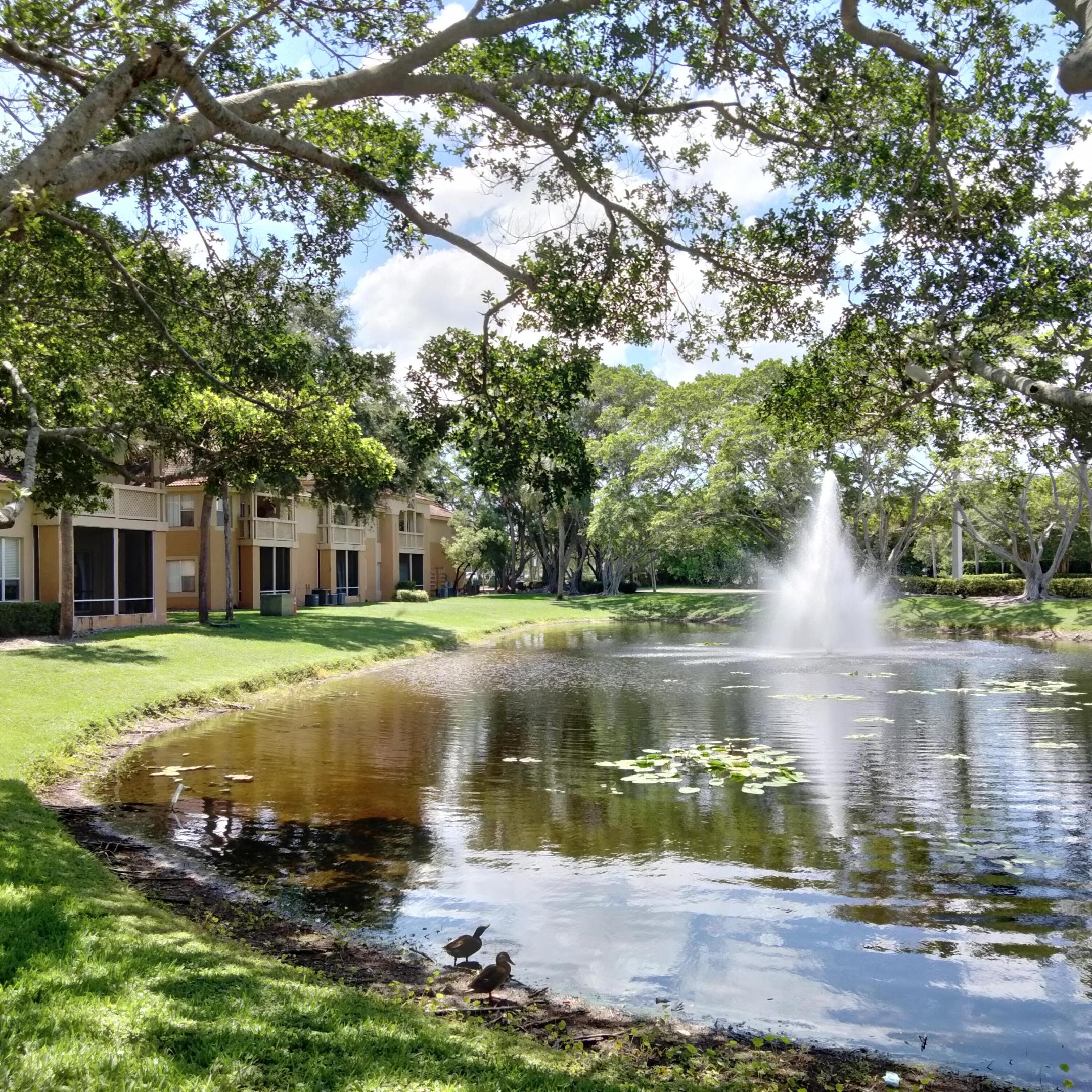 PALM LAKE CONDO - Residential