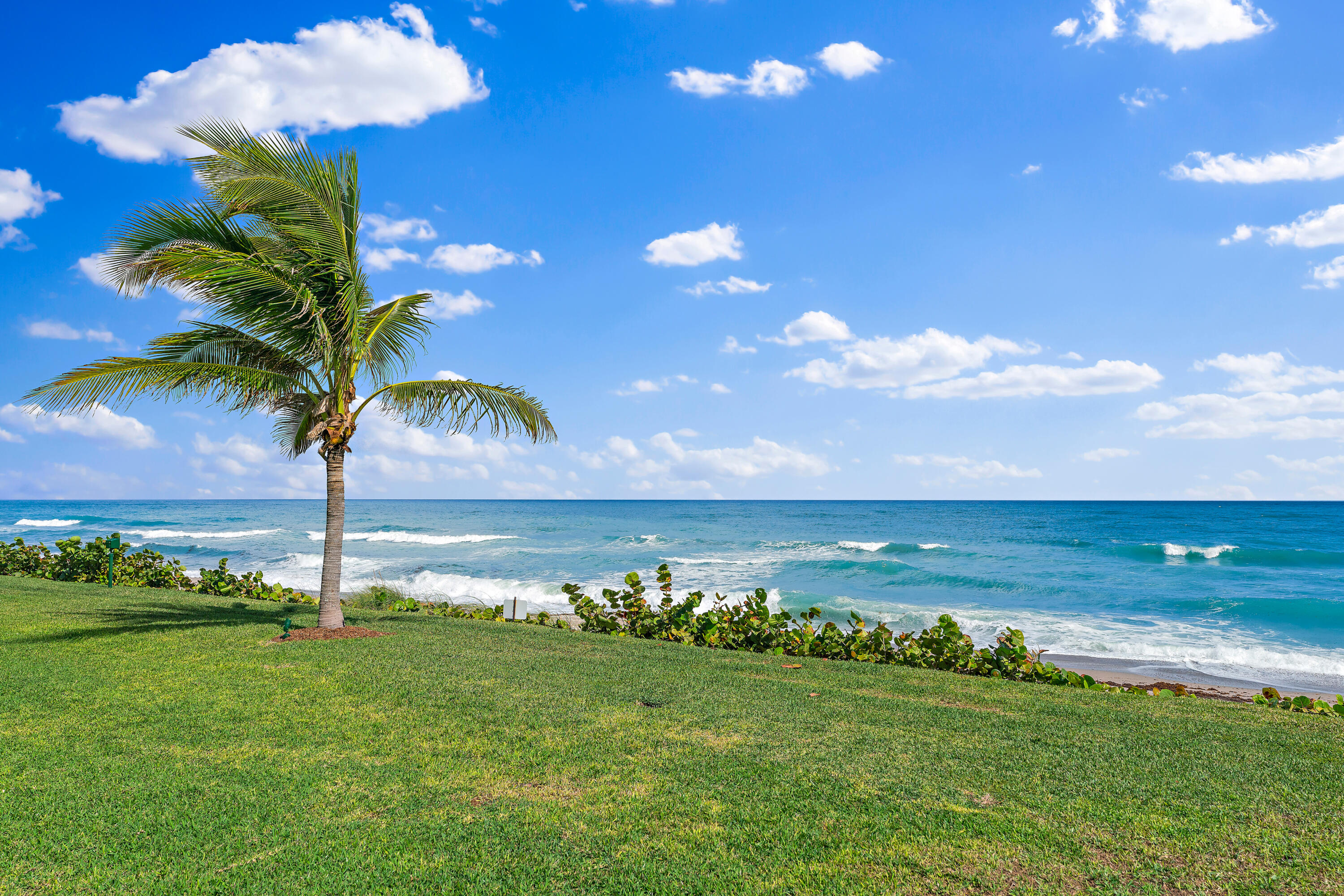 GREATHOUSE CONDO - Residential