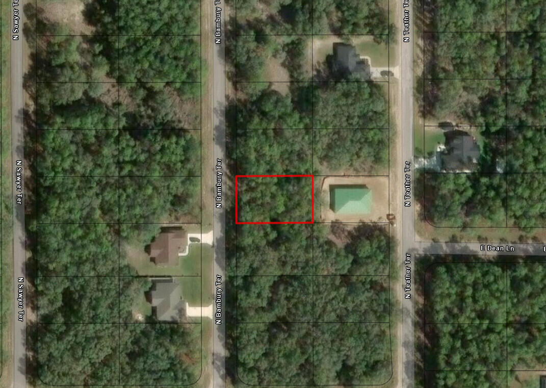 Owner Financing available on this Citrus Springs building lot
