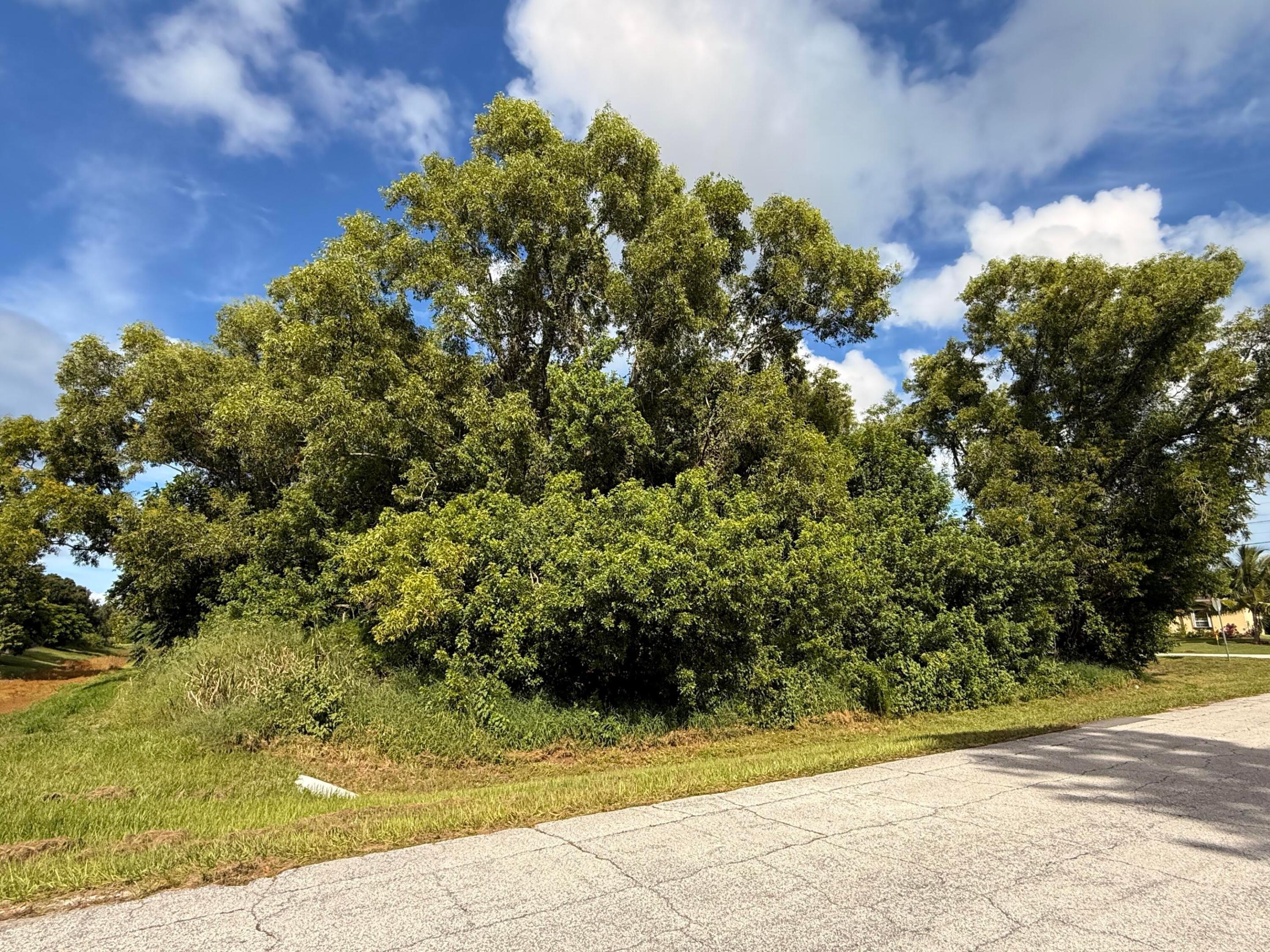 PORT ST LUCIE SECTION 39 - Land