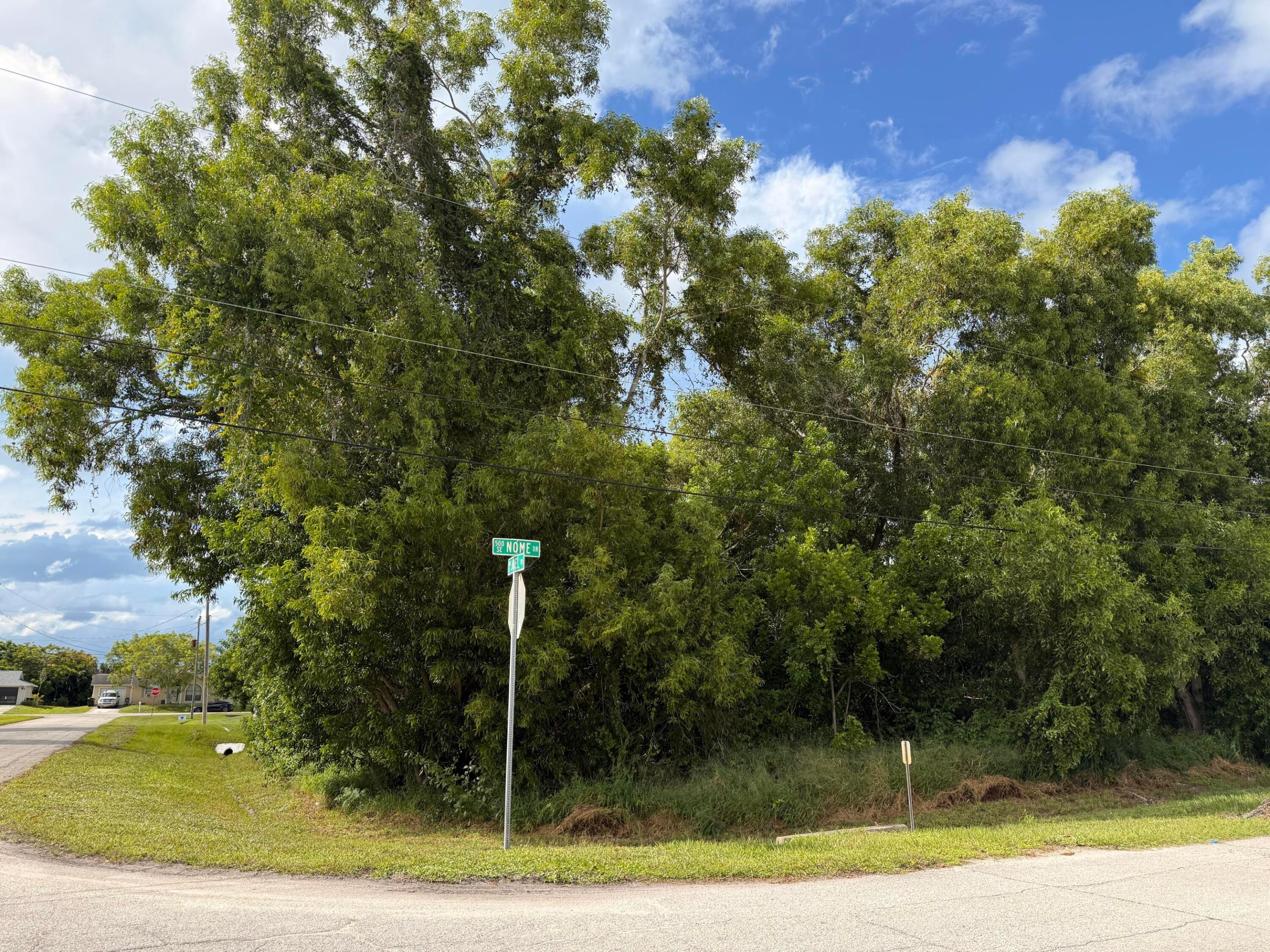 PORT ST LUCIE SECTION 39 - Land