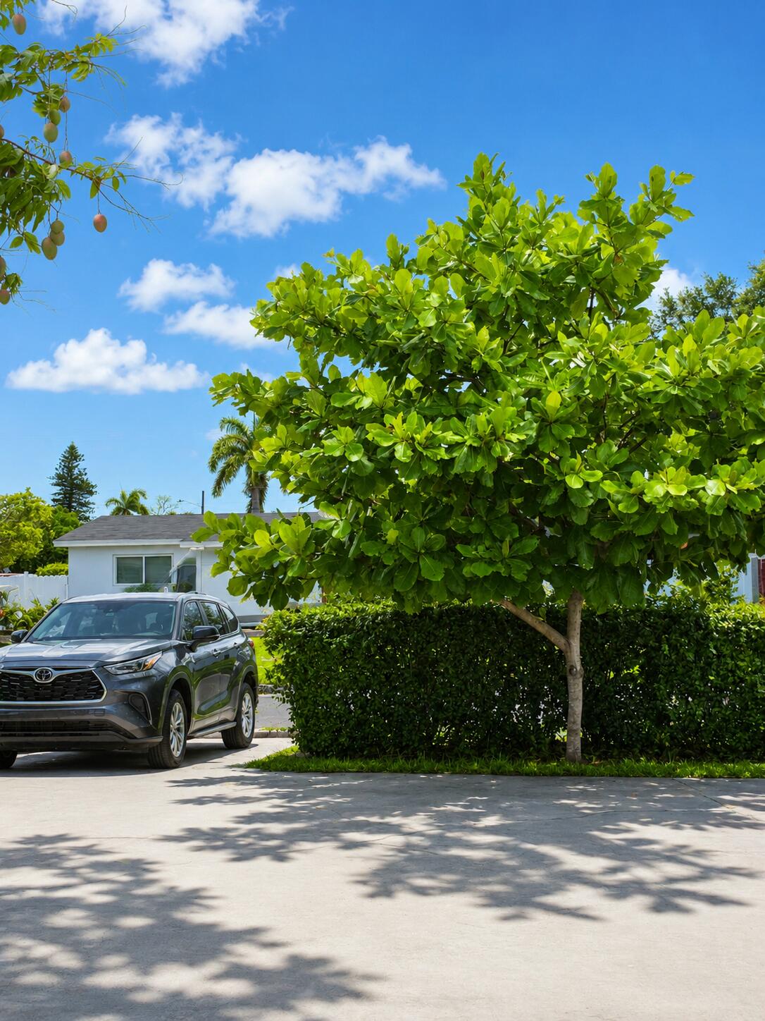 BOULEVARD HEIGHTS SEC TEN - Residential Lease