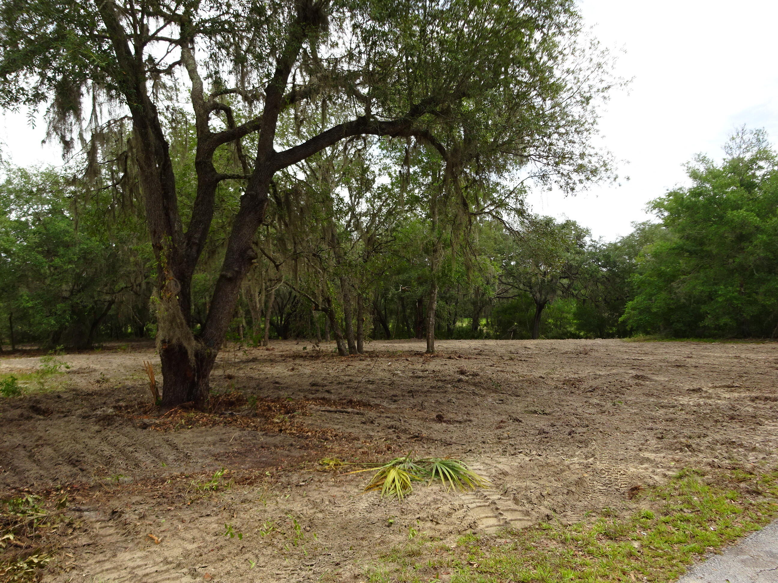 Build Your Florida Dream Home with Lake views! Nestled in the desirable Rainbow Estates community, this beautiful 0.67-acre lakefront lot offers a peaceful setting with water views, peaceful surroundings, and the opportunity to enjoy a slower pace of life where you can truly breathe fresh air and reconnect with nature, plenty of room to create your ideal home. The property has been partially cleared, providing a great balance of open space and natural Florida beauty. Enjoy tranquil mornings overlooking the lake and breathtaking sunsets from your future backyard.Located in the desirable Rainbow Lakes Estates community with no HOA, residents enjoy access to a fishing pier, community center, two playgrounds, basketball courts, tennis courts, and a boat ramp just minutes away. Outdoor enthusiasts will love being just minutes from Rainbow Springs State Park, where crystal-clear spring waters invite you to kayak, canoe, tube, swim, snorkel, hike, bike, and picnic year-round. Conveniently located near downtown Dunnellon, Ocala, Crystal River, and the Gulf of Mexico, you'll enjoy easy access to shopping, dining, and endless outdoor adventures.  Equestrian enthusiasts will appreciate being approximately 25 minutes from the renowned World Equestrian Center, one of the premier equestrian destinations in the country.  Whether you're building a full-time residence, weekend retreat, or future investment, this waterfront property offers the Florida lifestyle you've been dreaming of—peaceful lake views, fresh country air, and abundant recreational opportunities right at your doorstep.