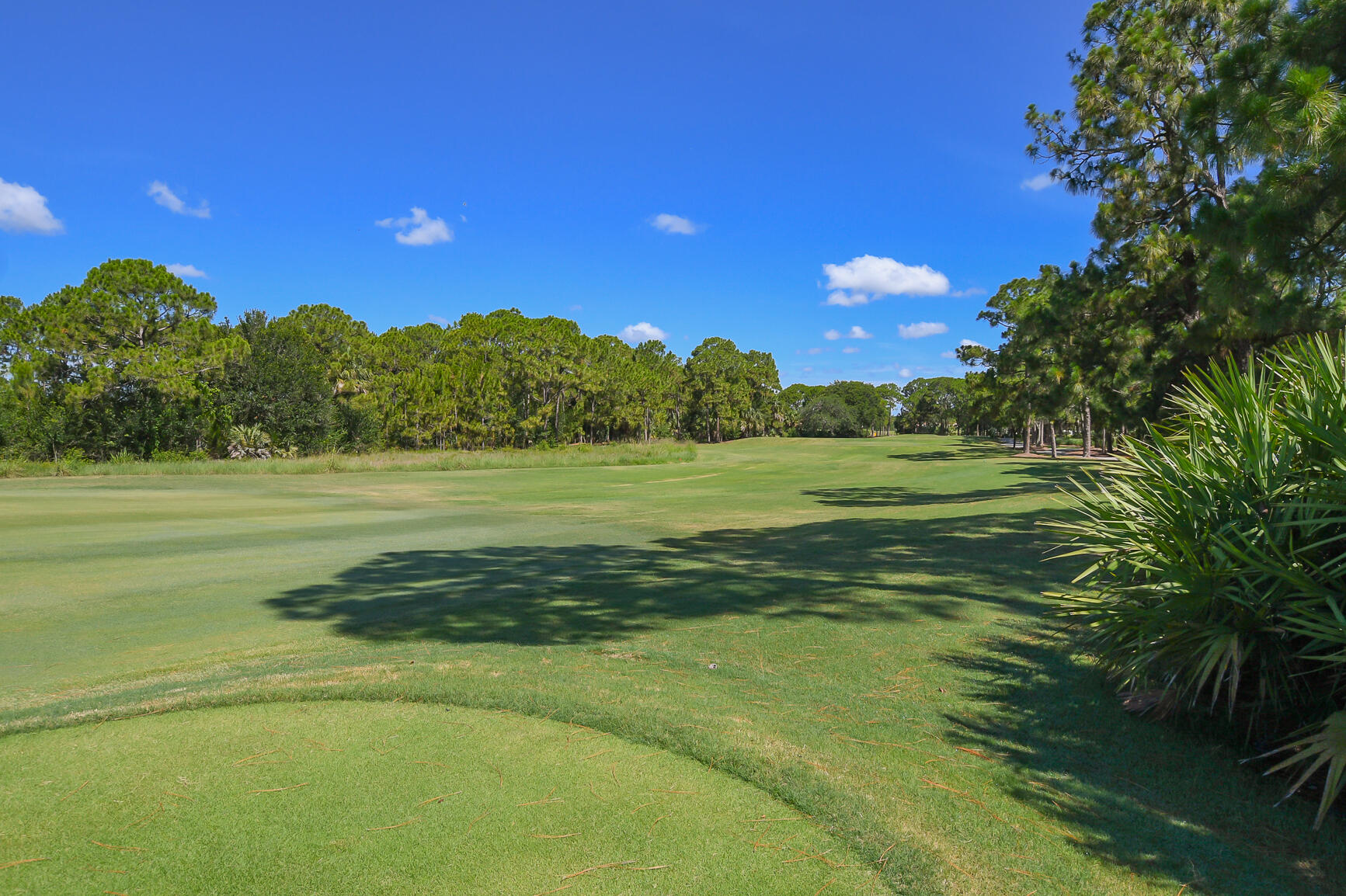 PGA VILLAGE (The Lakes) - Residential