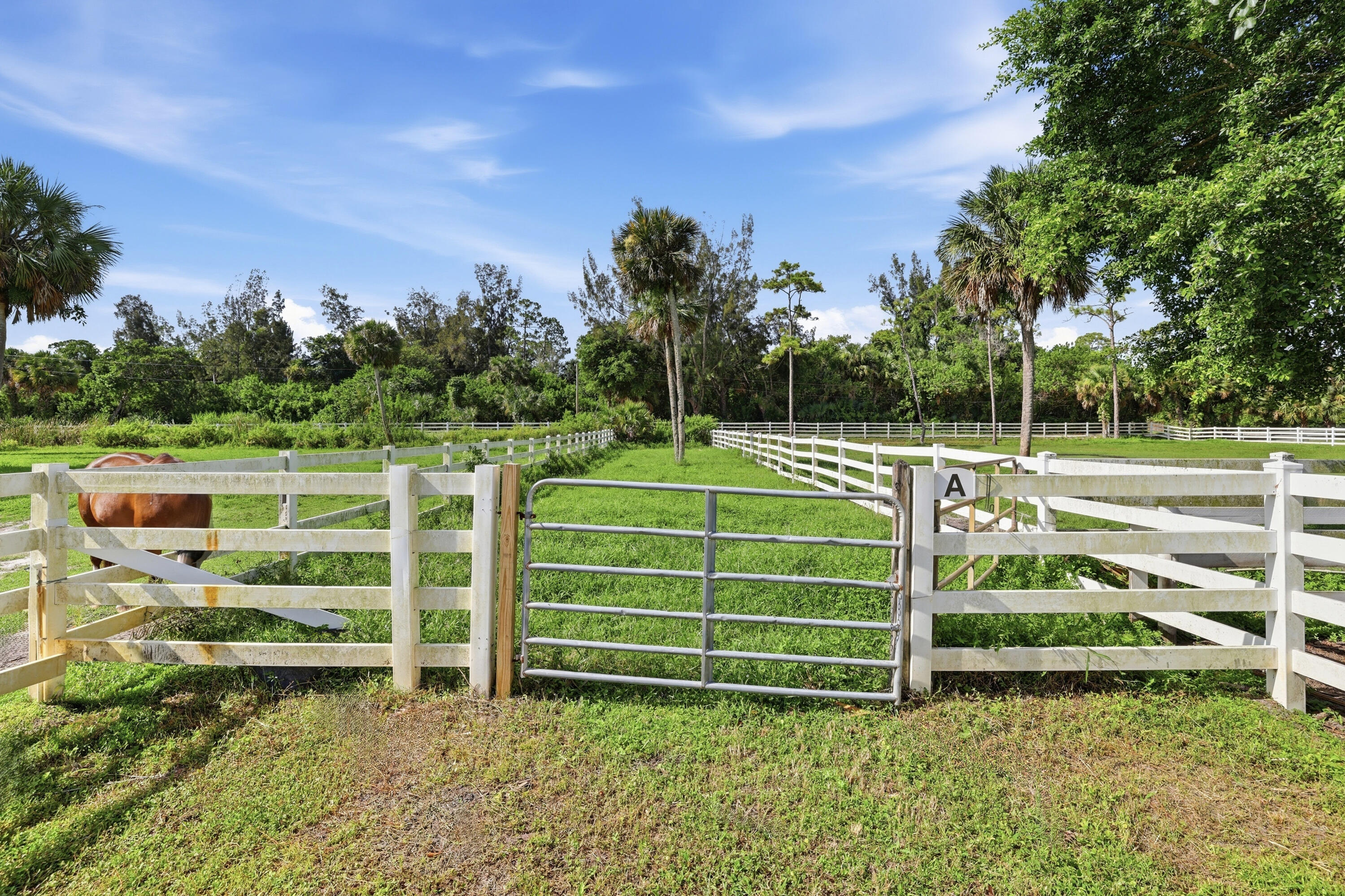 LOXAHATCHEE GROVES - Residential
