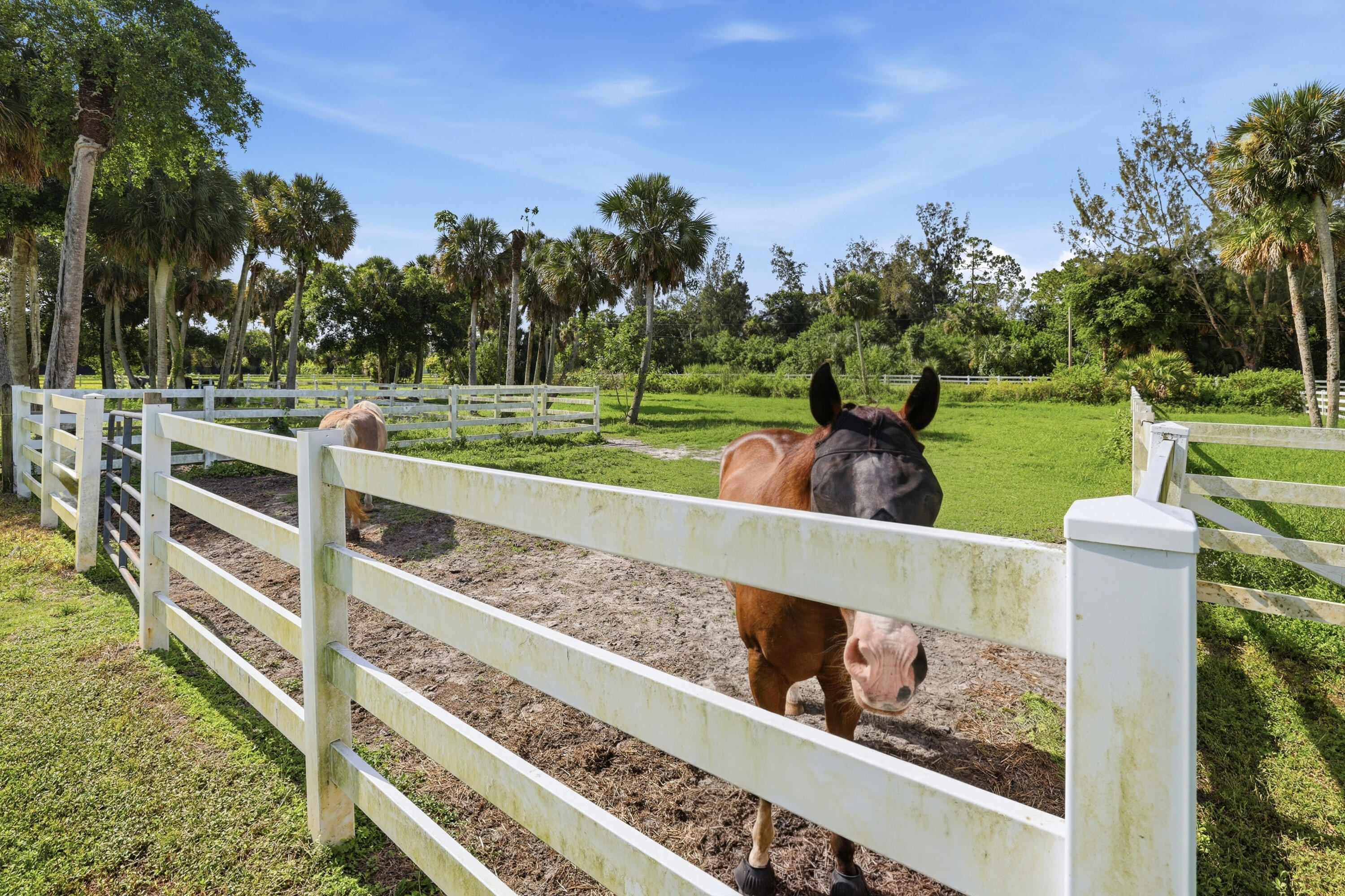 LOXAHATCHEE GROVES - Residential