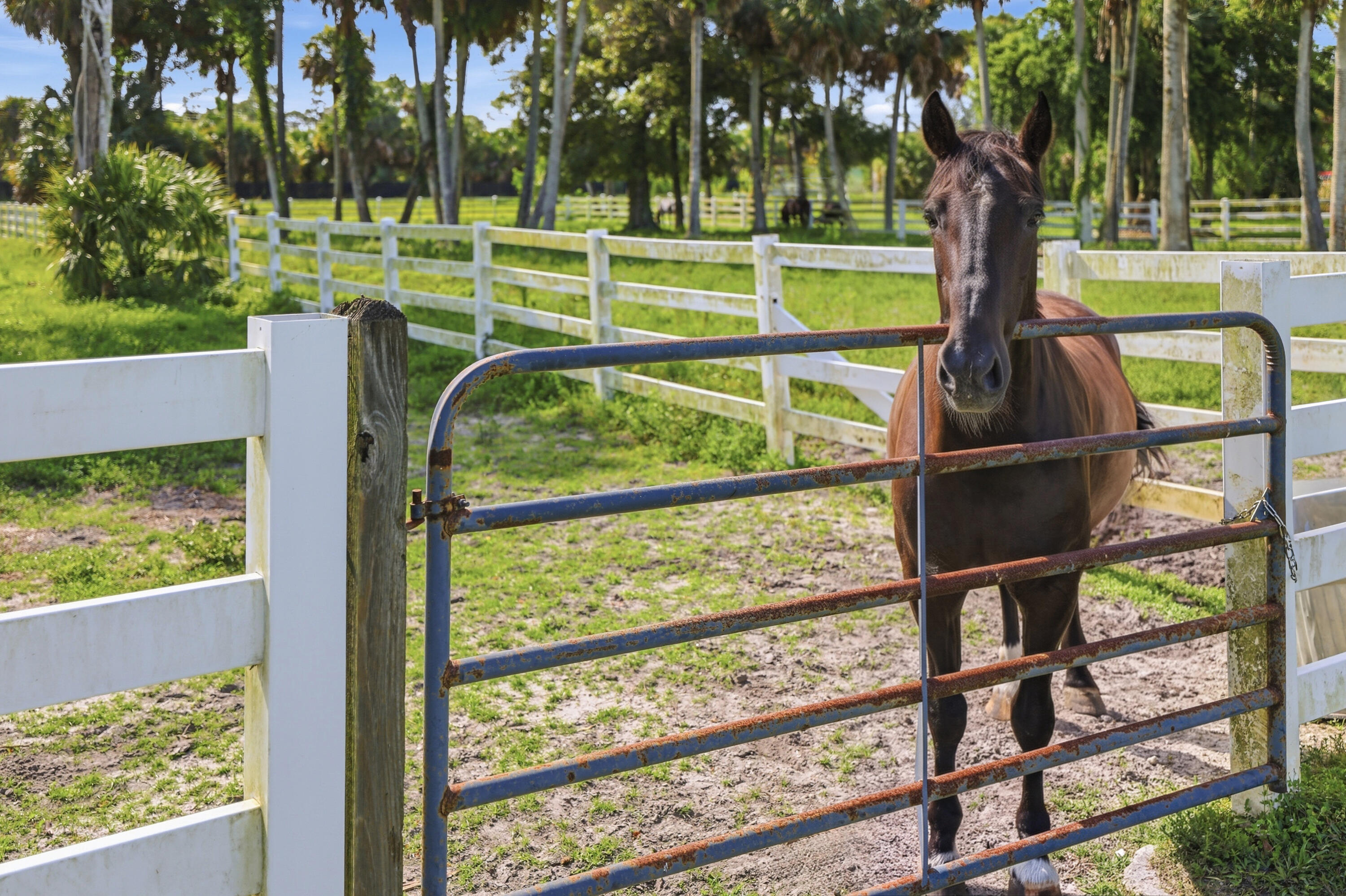 LOXAHATCHEE GROVES - Residential