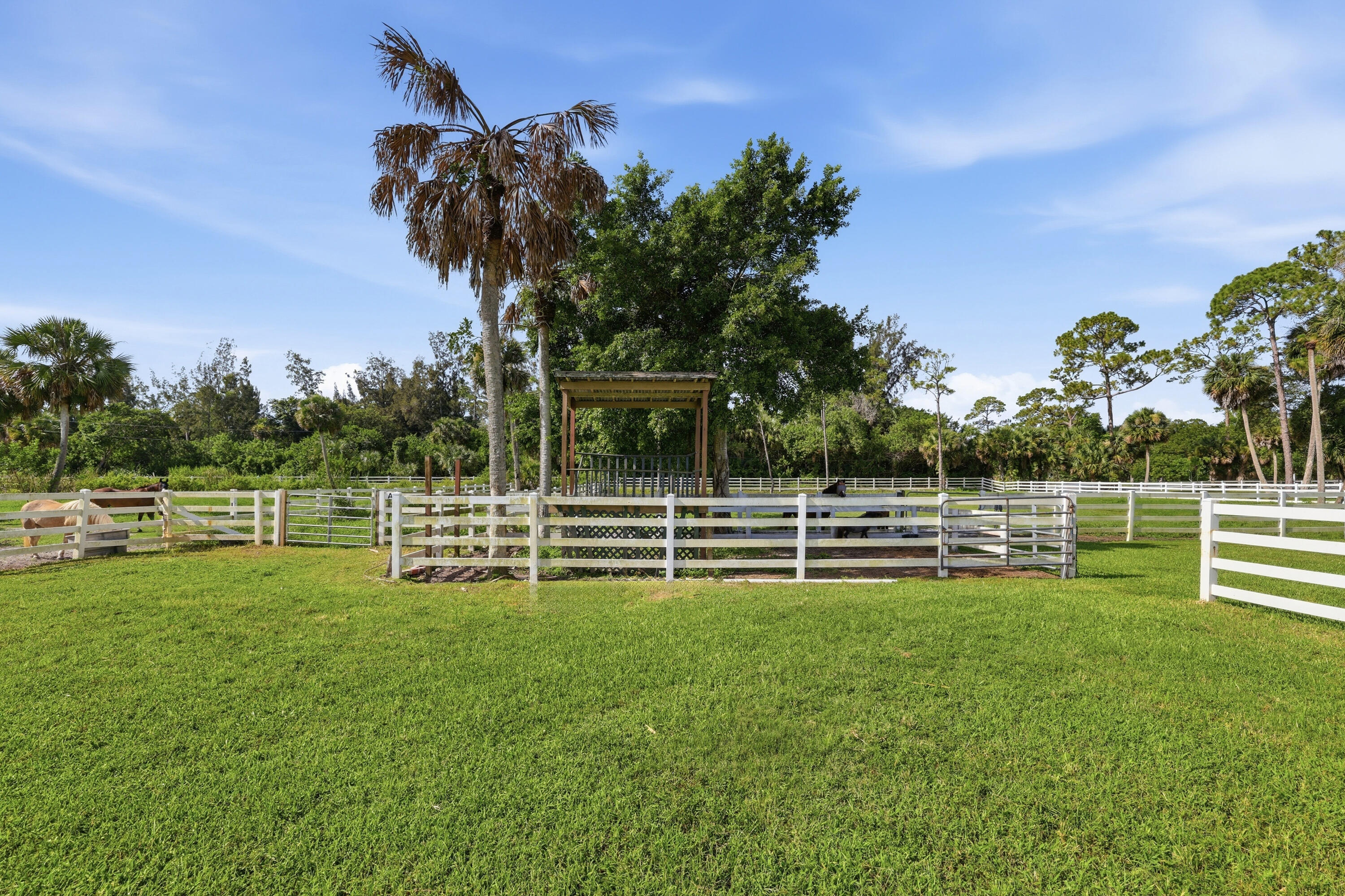 LOXAHATCHEE GROVES - Residential