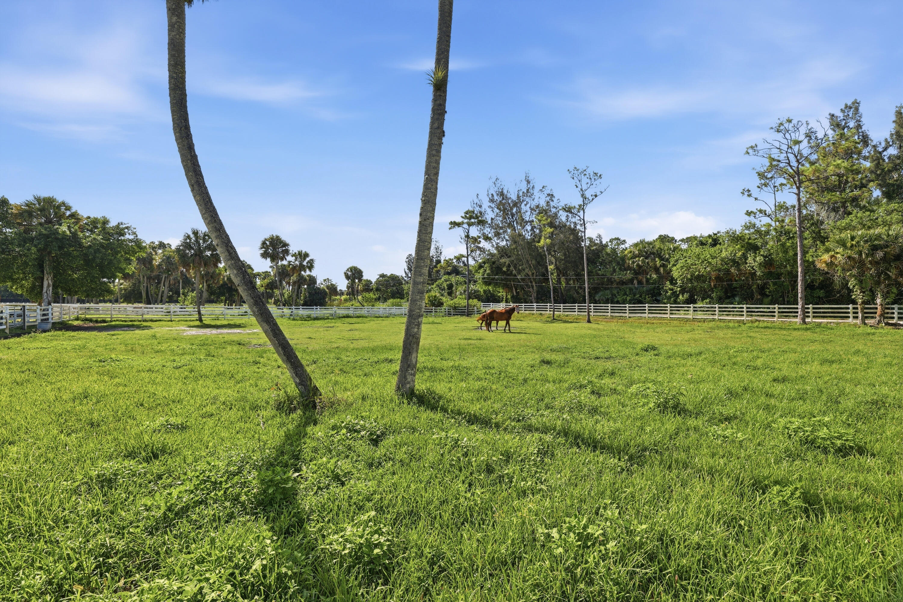 LOXAHATCHEE GROVES - Residential