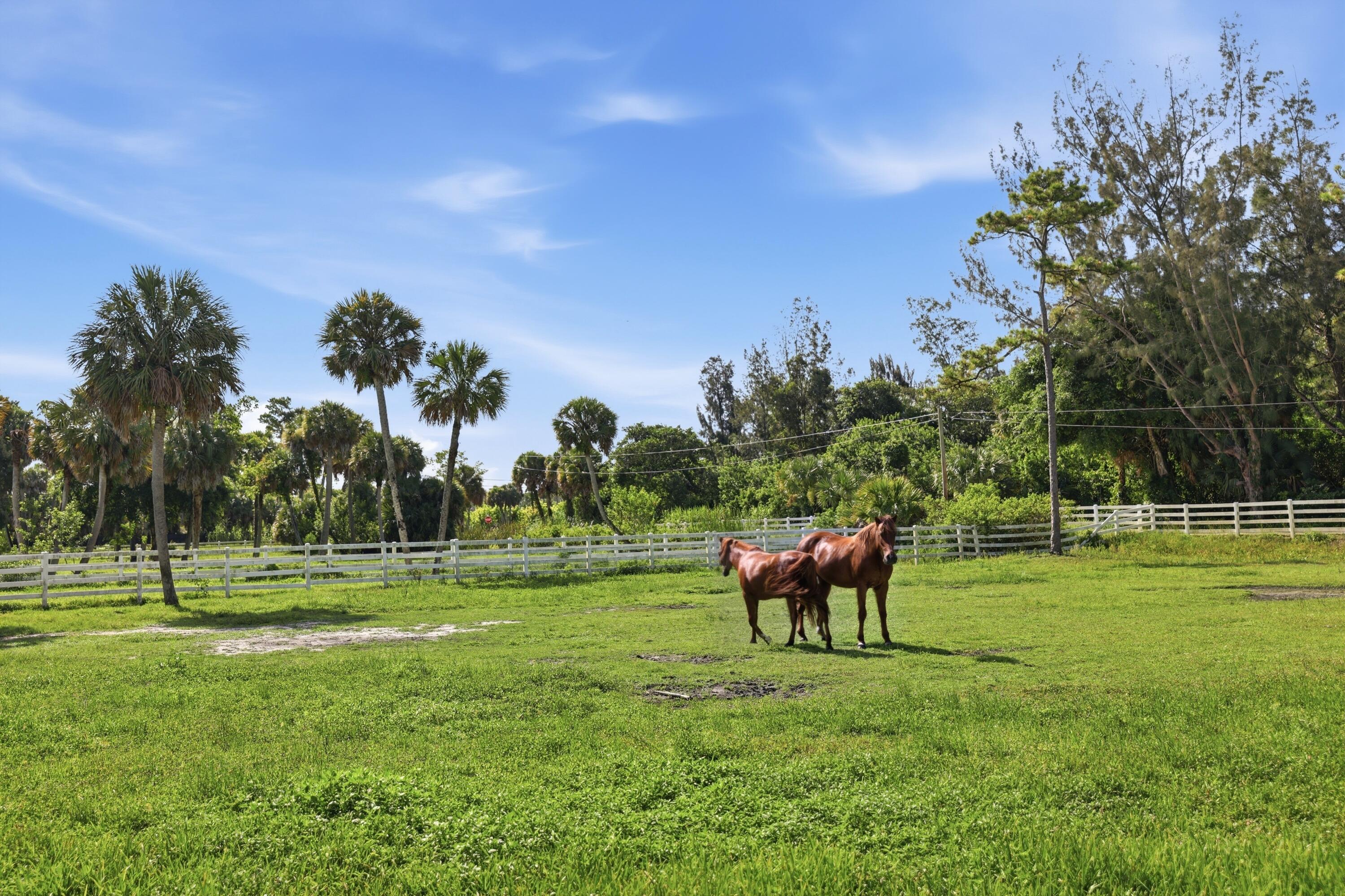 LOXAHATCHEE GROVES - Residential