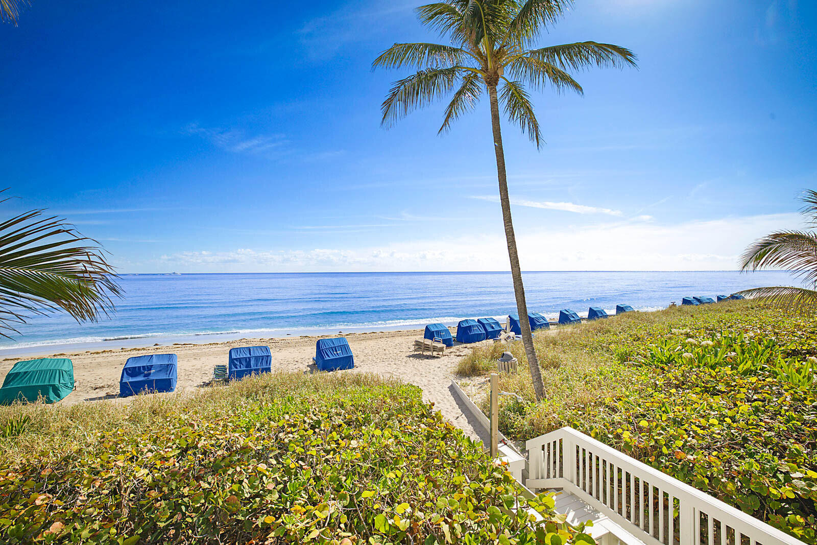 TRAFALGAR OF HIGHLAND BEACH CONDO - Residential