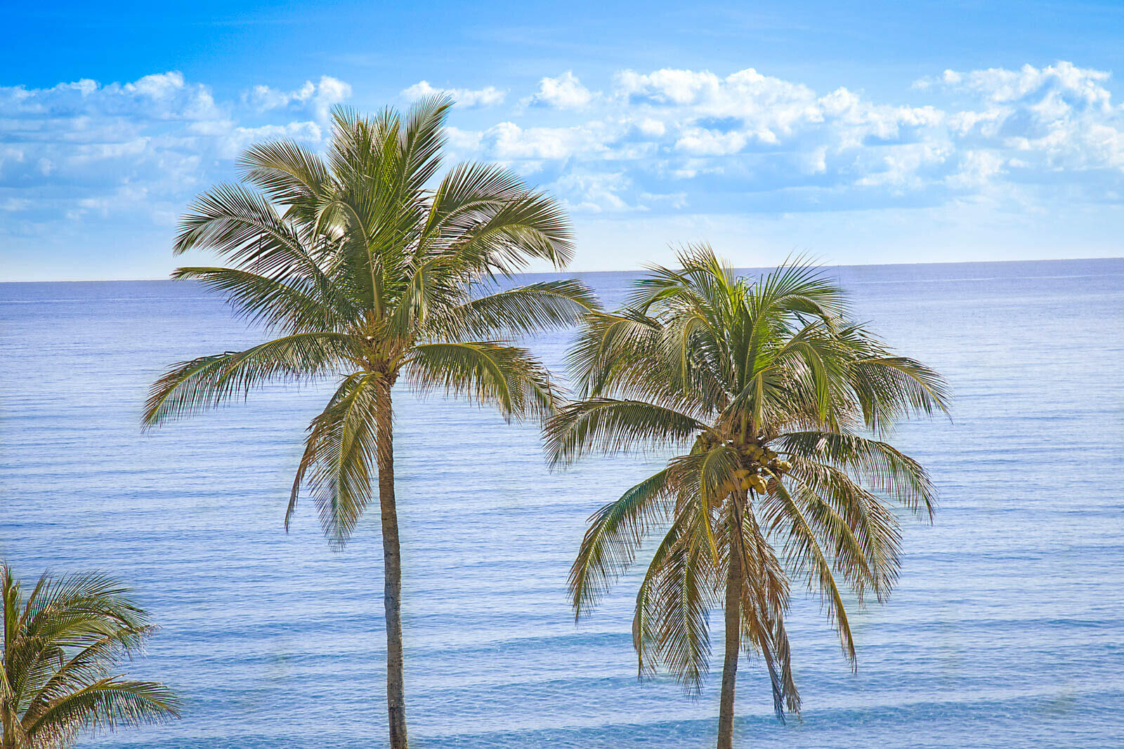 TRAFALGAR OF HIGHLAND BEACH CONDO - Residential