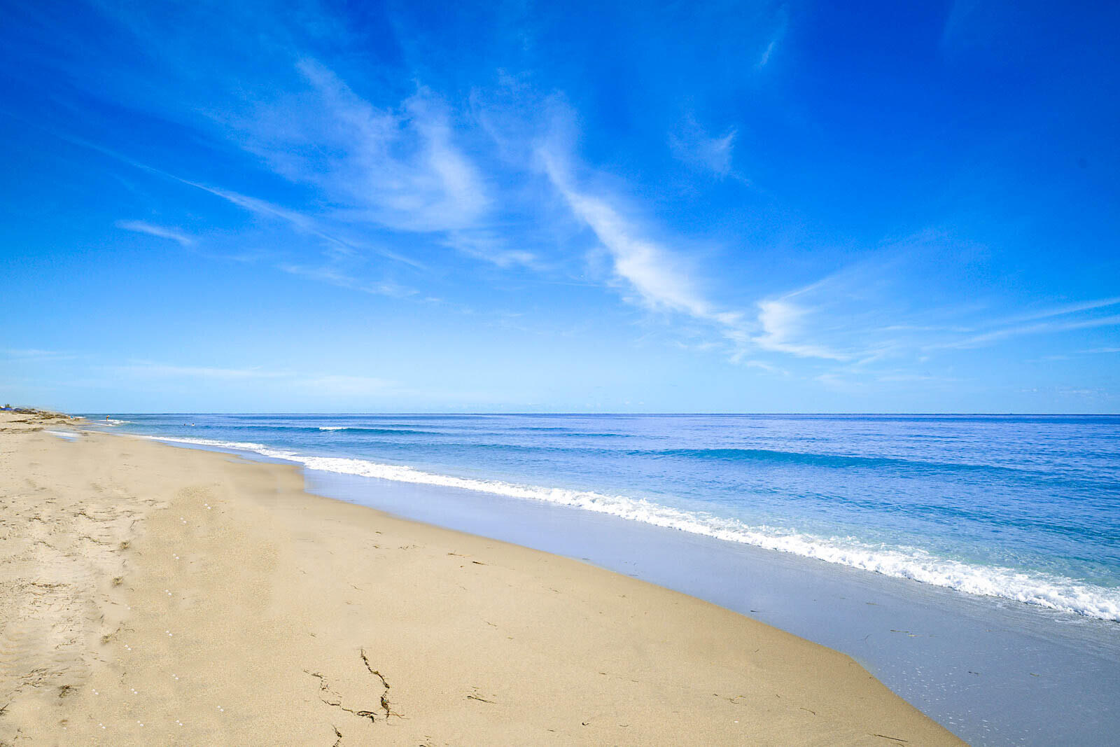 TRAFALGAR OF HIGHLAND BEACH CONDO - Residential