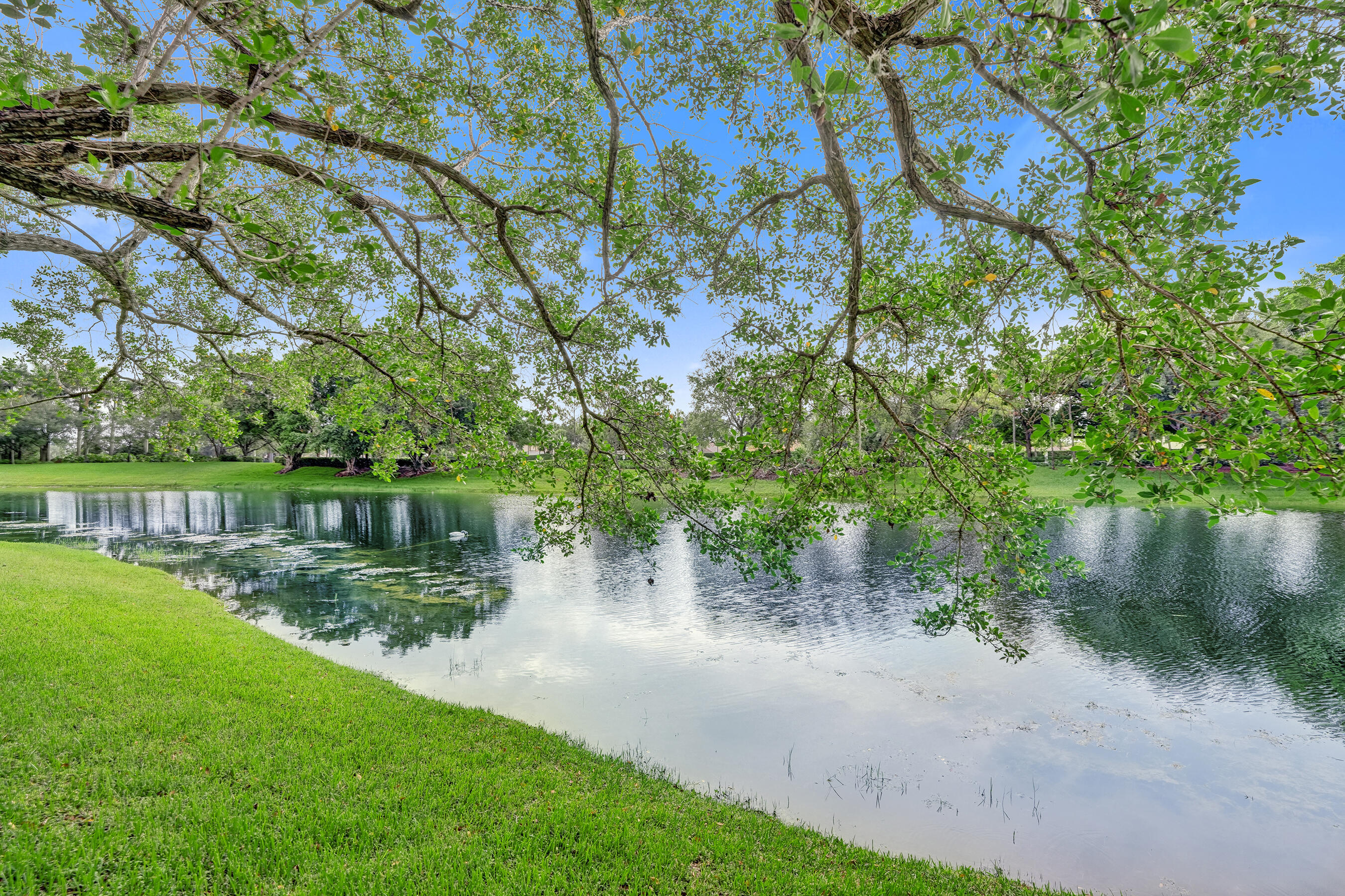 HERON BAY EAST - Residential