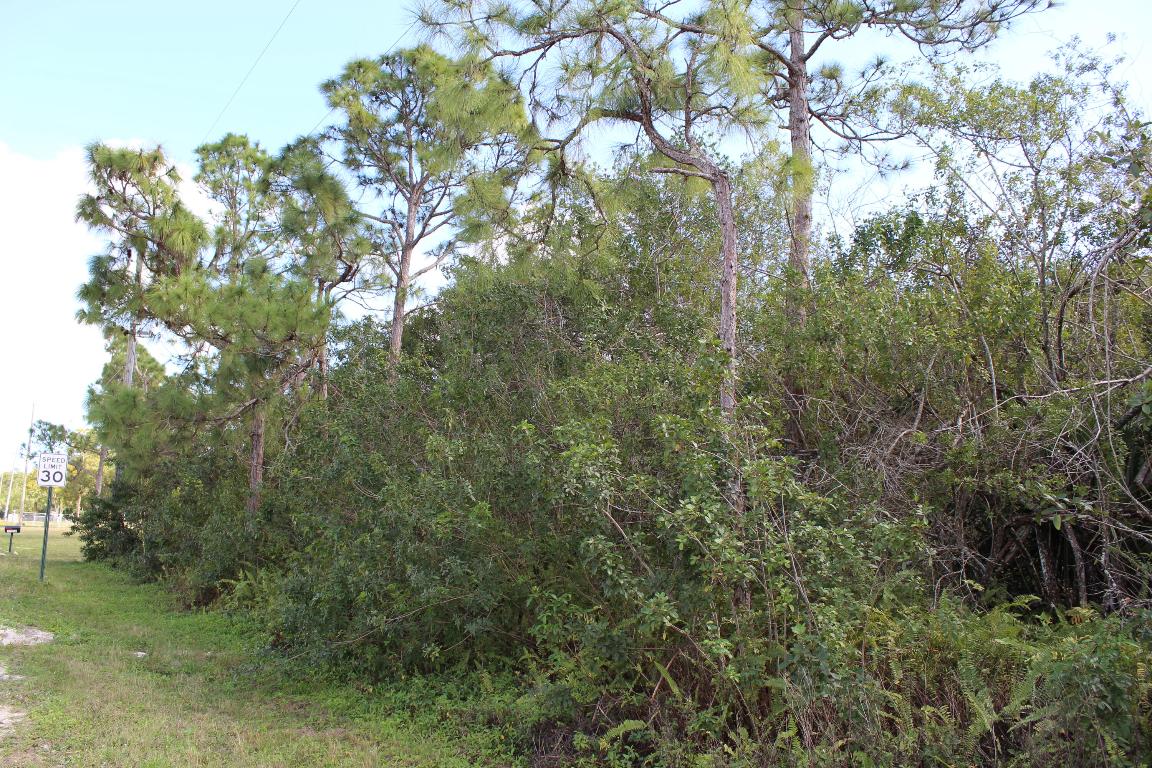 Loxahatchee - Land