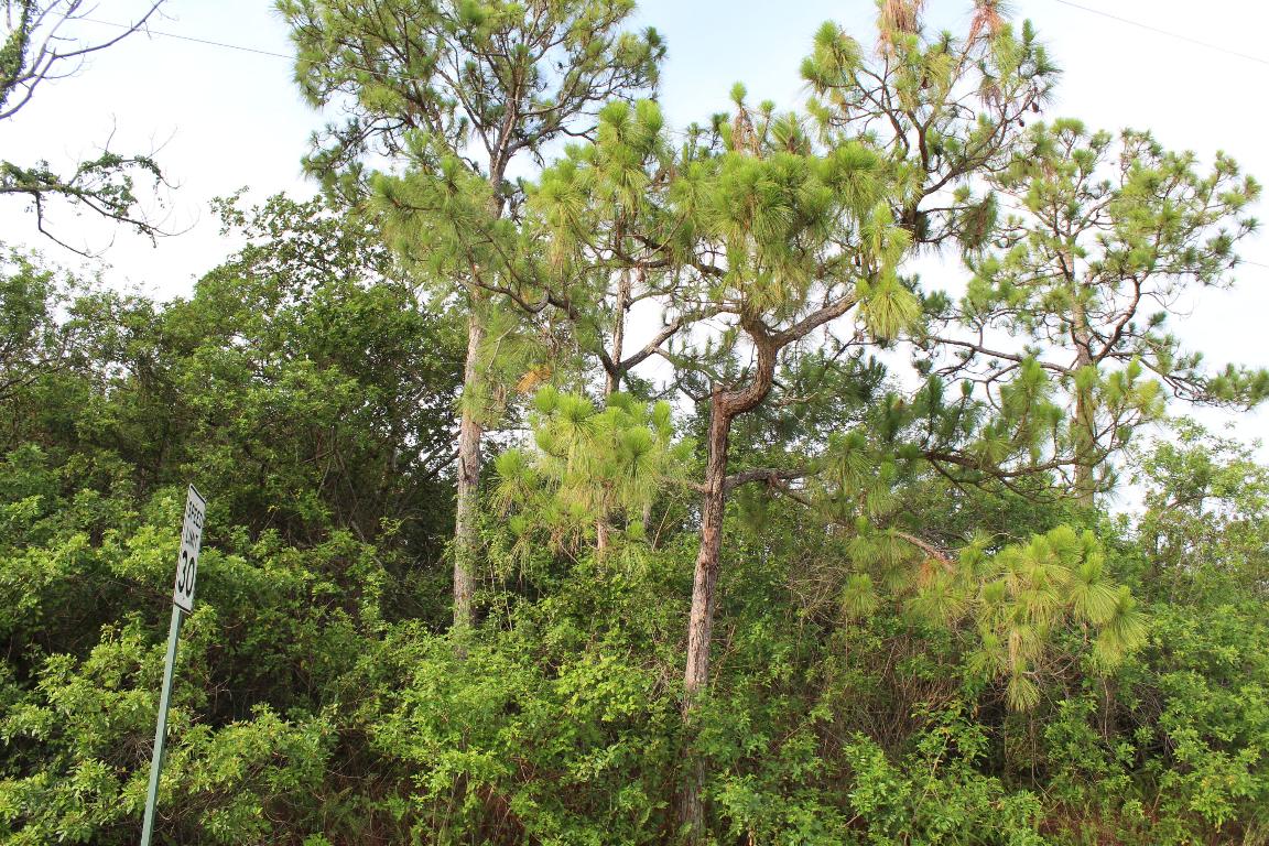 Loxahatchee - Land
