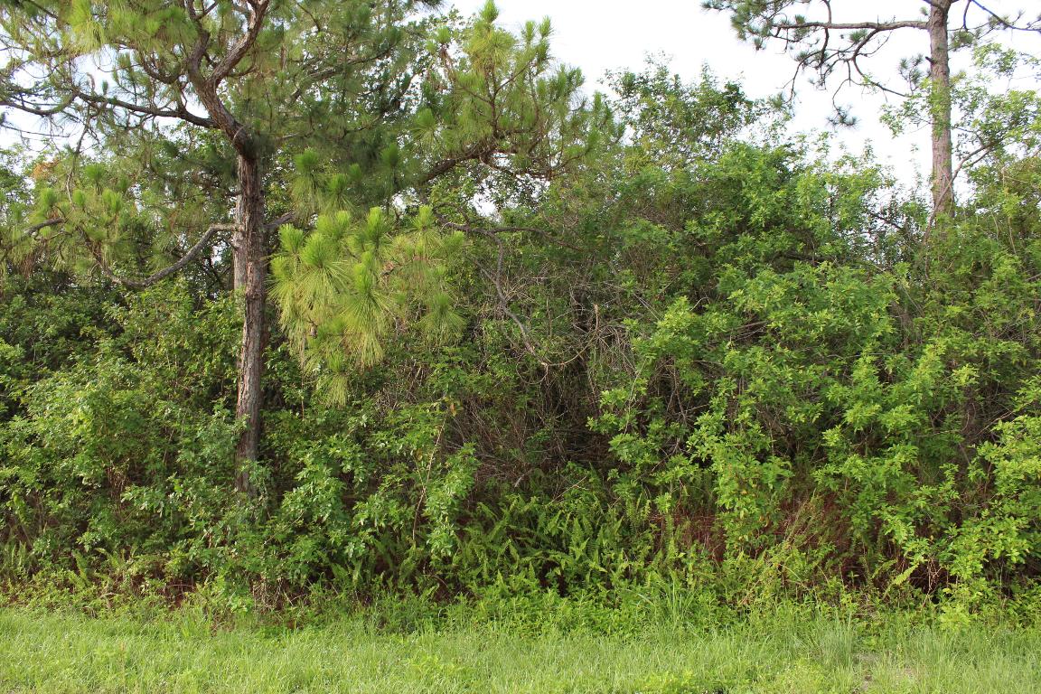 Another fantastic lot! Located on the corner of 180th and 94th St. 180th is paved. Tax records indicate 2.07 acres - [see aerial shot] Lovely area to build your dream home! 

''House'' number is used for reference only and not a true number. PB building dept will designate a house number at the time of construction.
School information was taken from Palm Beach County website, Buyer to confirm accuracy.