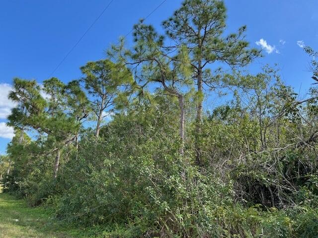 Loxahatchee - Land