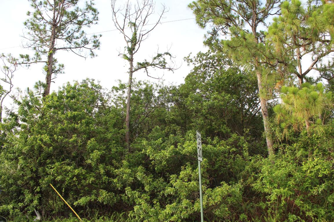 Loxahatchee - Land