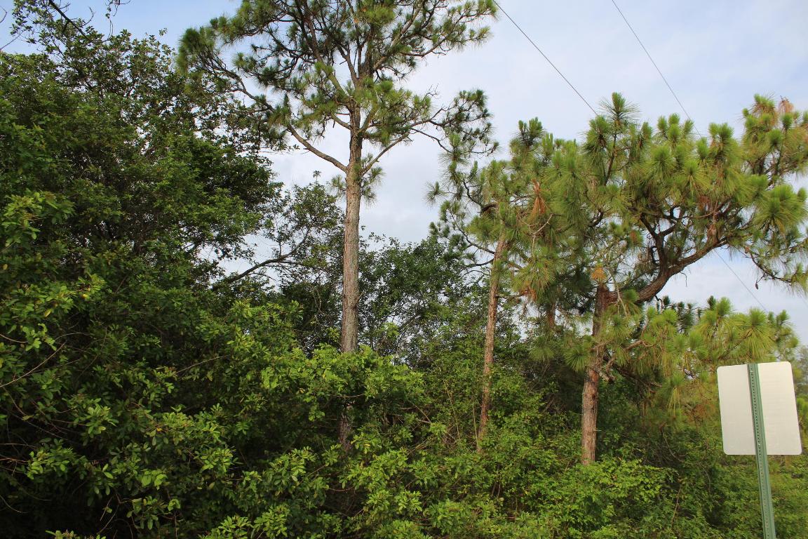Loxahatchee - Land