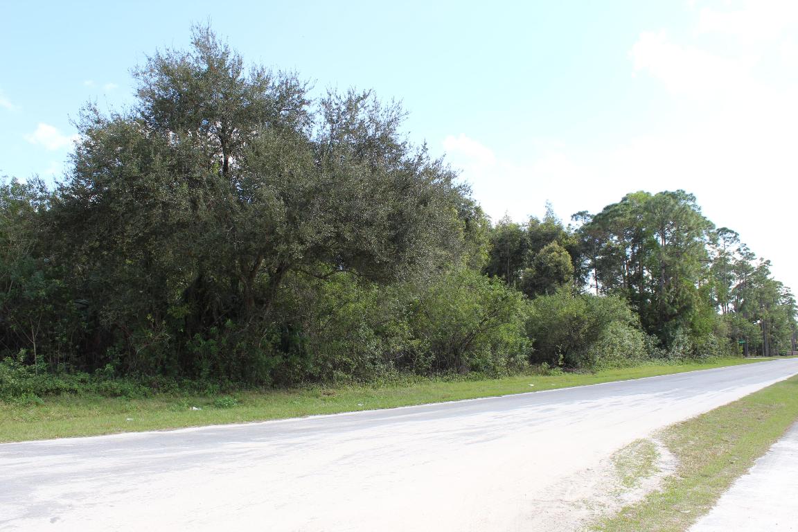 Loxahatchee - Land